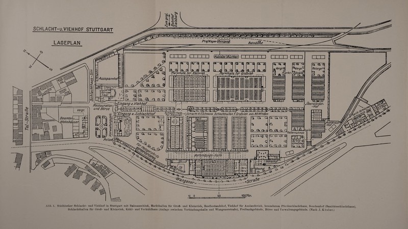 SCHLACHT-u.VIEHHOF STUTTGART Proj. Wagen - \Reinigung\ LAGEPLAN Bahndienst \Äus/ade \ßu,chten I ®>VergrP* Vergr.<$, Ift Ql la. <aL <a <al loa. & . Markthalle für Großyj_eh __ flarkt iirmniiiiiiiiTTim iiiiiiiiiiimimin mii'iiiiiiinnni mmnEMi TTTOT Eingang z. Weh ho f Überständer- -Hof Restauration und Börse I ca ca <a ca, P'lfa o o ca, ol cl ca caJ1' ’Sch/acht-H.f.Schweine Schlachthallen f. Großvieh zus.80Winden Schlacht-Hane^ - für Kieim/leh y 'Eingang z. Schlachthof nnnTfiirnrnTTTTi Beamten-_ Wohnhäuser Fellannahmen Polizei WZig-Q annanmen yelbin'äung's -Halle • l < I 1 i i T\ | i . I i “ \Dunger: j [Kohtönhof 1 0 i : : £ Qi Id E Q 3T <9 a. <2. U4 <a._,g Abb. 1. Städtischer Schlacht- und Viehhof in Stuttgart mit Bahnanschluß, Markthallen für Groß- und Kleinvieh, Restbestandshof, Viehhof für Auslandsvieh, besonderem Pferdeschlachthaus, Seuchenhof (Sanitätsschlachthaus), Schlachthallen für Groß- und Kleinvieh, Kühl- und Vorkühlhaus (Anlage zwischen Verbindungshalle und Wangenerstraße), Freibankgebäude, Börse und Verwaltungsgebäude. (Nach J. Kösler.)