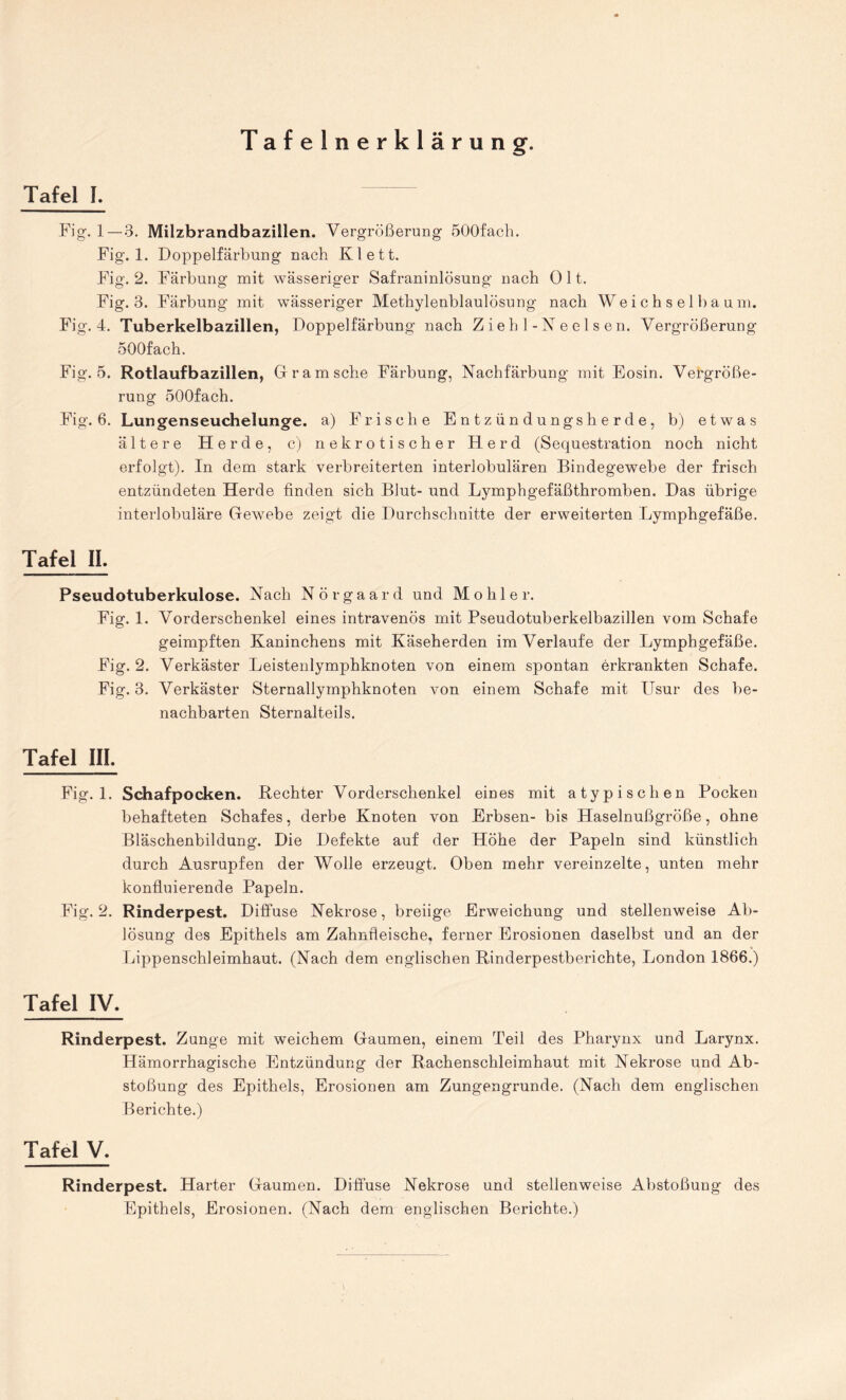 Tafelnerklärung. Tafel I. Fig. 1— 3. Milzbrandbazillen. Vergrößerung öOOfach. Fig. 1. Doppelfärbung nach Klett. Fig. 2. Färbung mit wässeriger Safraninlösung nach 0 11. Fig. 3. Färbung mit wässeriger Methylenblaulösung nach We i c h s e 1 b a u m. Fig. 4. Tuberkelbazillen, Doppelfärbung nach Ziehl-Neelsen. Vergrößerung ÖOOfach. Fig. 5. Rotlaufbazillen, Gramsche Färbung, Nachfärbung mit Eosin. Vergröße¬ rung öOOfach. Fig. 6. Lungenseuchelunge, a) Frische Entzündungsherde, b) etwas ältere Herde, c) nekrotischer Herd (Sequestration noch nicht erfolgt). In dem stark verbreiterten interlobulären Bindegewebe der frisch entzündeten Herde finden sich Blut- und Lymphgefäßthromben. Das übrige interlobuläre Gewebe zeigt die Durchschnitte der erweiterten Lymphgefäße. Tafel II. Pseudotuberkulose. Nach Nörgaard und Möhler. Fig. 1. Vorderschenkel eines intravenös mit Pseudotuberkelbazillen vom Schafe geimpften Kaninchens mit Käseherden im Verlaufe der Lymphgefäße. Fig. 2. Verkäster Leistenlymphknoten von einem spontan erkrankten Schafe. Fig. 3. Verkäster Sternallymphknoten von einem Schafe mit Usur des be¬ nachbarten Sternalteils. Tafel III. Fig. 1. Schafpocken. Rechter Vorderschenkel, eines mit atypischen Pocken behafteten Schafes, derbe Knoten von Erbsen- bis Haselnußgröße, ohne Bläschenbildung. Die Defekte auf der Höhe der Papeln sind künstlich durch Ausrupfen der Wolle erzeugt. Oben mehr vereinzelte, unten mehr konfluierende Papeln. Fig. 2. Rinderpest. Diffuse Nekrose, breiige Erweichung und stellenweise Ab¬ lösung des Epithels am Zahnfleische, ferner Erosionen daselbst und an der Lippenschleimhaut. (Nach dem englischen Rinderpestberichte, London 1866.) Tafel IV. Rinderpest. Zunge mit weichem Gaumen, einem Teil des Pharynx und Larynx. Hämorrhagische Entzündung der Rachenschleimhaut mit Nekrose und Ab¬ stoßung des Epithels, Erosionen am Zungengrunde. (Nach dem englischen Berichte.) Tafel V. Rinderpest. Harter Gaumen. Diffuse Nekrose und stellenweise Abstoßung des Epithels, Erosionen. (Nach dem englischen Berichte.)