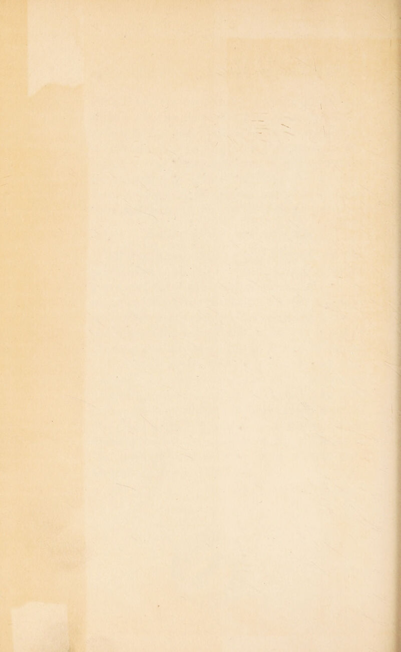 /* r ' ' ’ ' r • l' f 'isU'<i*6* ,.- ■j'^' ■--, f .<?'•■■ ‘ . r ^ / i' >•■' .> \ \ '‘N. s i V : li'iy- v ^ A'-V'jifS' ti \ \ \