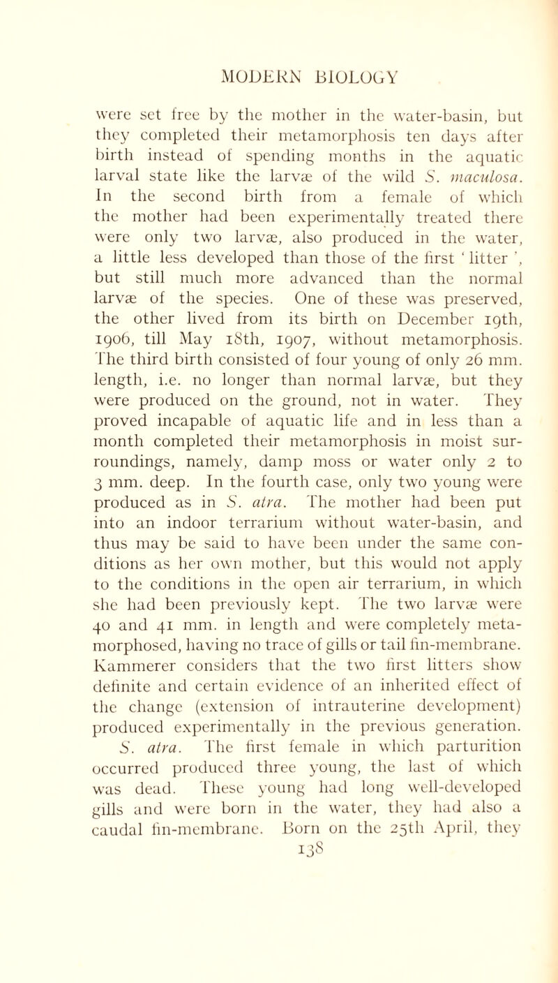 were set free by the mother in the water-basin, but they completed their metamorphosis ten days after birth instead of spending months in the aquatic larval state like the larvae of the wild S. maculosa. in the second birth from a female of which the mother had been experimentally treated there were only two larvae, also produced in the water, a little less developed than those of the first ' litter ’, but still much more advanced than the normal larvae of the species. One of these was preserved, the other lived from its birth on December igth, 1906, till May iSth, 1907, without metamorphosis. The third birth consisted of four young of only 26 mm. length, i.e. no longer than normal larvae, but they were produced on the ground, not in water. They proved incapable of aquatic life and in less than a month completed their metamorphosis in moist sur- roundings, namely, damp moss or water only 2 to 3 mm. deep. In the fourth case, only two young were produced as in S. atra. The mother had been put into an indoor terrarium without water-basin, and thus may be said to have been under the same con- ditions as her own mother, but this would not apply to the conditions in the open air terrarium, in which she had been previously kept. The two larvae were 40 and 41 mm. in length and were completely meta- morphosed, having no trace of gills or tail fin-membrane. Kammerer considers that the two first litters show definite and certain evidence of an inherited effect of the change (extension of intrauterine development) produced experimentally in the previous generation. 5. atra. The first female in which parturition occurred produced three young, the last of which was dead. These young had long well-developed gills and were born in the water, they had also a caudal fin-membrane. Born on the 25th April, they