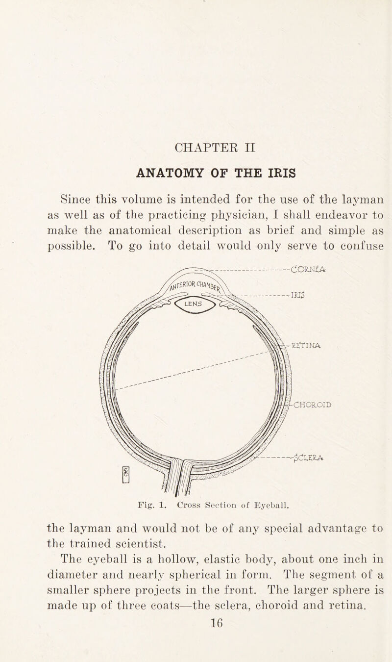 ANATOMY OF THE IRIS Since this volume is intended for the use of the layman as well as of the practicing physician, I shall endeavor to make the anatomical description as brief and simple as possible. To go into detail would only serve to confuse the layman and would not be of any special advantage to the trained scientist. The eyeball is a hollow, elastic body, about one inch in diameter and nearly spherical in form. The segment of a smaller sphere projects in the front. The larger sphere is made up of three coats—the sclera, choroid and retina.