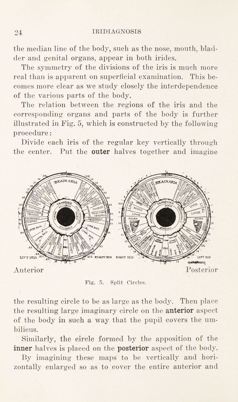 the median line of the body, such as the nose, mouth, blad¬ der and genital organs, appear in both irides. The symmetry of the divisions of the iris is much more real than is apparent on superficial examination. This be¬ comes more clear as we study closely the interdependence of the various parts of the body. The relation between the regions of the iris and the corresponding organs and parts of the body is further illustrated in Fig. 5, which is constructed by the following procedure: Divide each iris of the regular key vertically through the center. Put the outer halves together and imagine Anterior Posterior Fig. 5. Split Circles. the resulting circle to be as large as the body. Then place the resulting large imaginary circle on the anterior aspect of the body in such a way that the pupil covers the um¬ bilicus. Similarly, the circle formed by the apposition of the inner halves is placed on the posterior aspect of the body. By imagining these maps to be vertically and hori¬ zontally enlarged so as to cover the entire anterior and