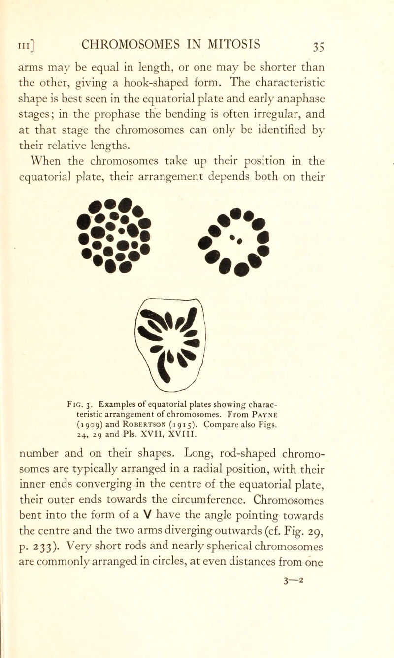 arms may be equal in length, or one may be shorter than the other, giving a hook-shaped form. The characteristic shape is best seen in the equatorial plate and early anaphase stages; in the prophase the bending is often irregular, and at that stage the chromosomes can only be identified by their relative lengths. When the chromosomes take up their position in the equatorial plate, their arrangement depends both on their Fig. 3. Examples of equatorial plates showing charac- teristic arrangement of chromosomes. From Payne (1909) and Robertson (1915). Compare also Figs. 24, 29 and Pis. XVII, XVIII. number and on their shapes. Long, rod-shaped chromo- somes are typically arranged in a radial position, with their inner ends converging in the centre of the equatorial plate, their outer ends towards the circumference. Chromosomes bent into the form of a V have the angle pointing towards the centre and the two arms diverging outwards (cf. Fig. 29, p. 233). Very short rods and nearly spherical chromosomes are commonly arranged in circles, at even distances from one 3—2