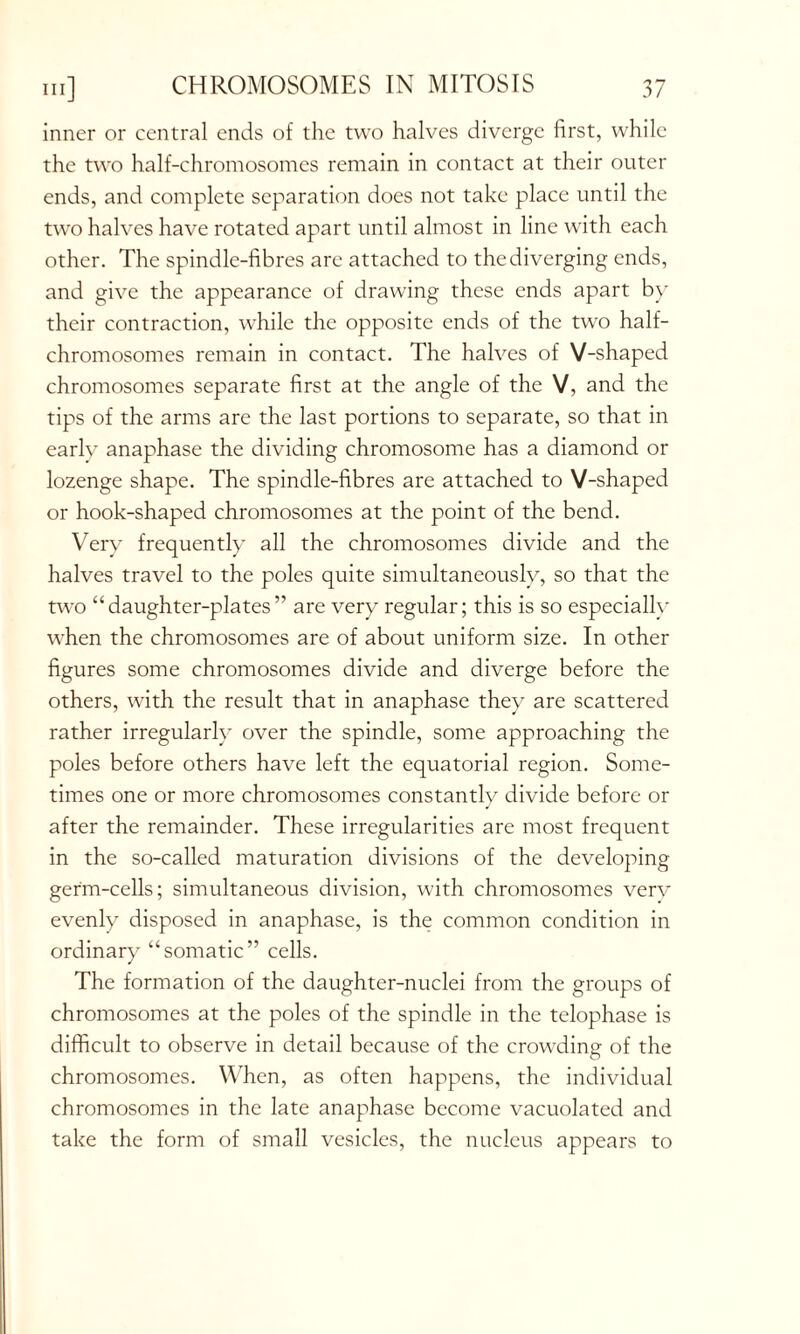 inner or central ends of the two halves diverge first, while the two half-chromosomes remain in contact at their outer ends, and complete separation does not take place until the two halves have rotated apart until almost in line with each other. The spindle-fibres are attached to the diverging ends, and give the appearance of drawing these ends apart by their contraction, while the opposite ends of the two half- chromosomes remain in contact. The halves of V-shaped chromosomes separate first at the angle of the V, and the tips of the arms are the last portions to separate, so that in earlv anaphase the dividing chromosome has a diamond or lozenge shape. The spindle-fibres are attached to V-shaped or hook-shaped chromosomes at the point of the bend. Very frequently all the chromosomes divide and the halves travel to the poles quite simultaneously, so that the two “daughter-plates” are very regular; this is so especially when the chromosomes are of about uniform size. In other figures some chromosomes divide and diverge before the others, with the result that in anaphase they are scattered rather irregularly over the spindle, some approaching the poles before others have left the equatorial region. Some- times one or more chromosomes constantly divide before or after the remainder. These irregularities are most frequent in the so-called maturation divisions of the developing germ-cells; simultaneous division, with chromosomes very evenly disposed in anaphase, is the common condition in ordinary “somatic” cells. The formation of the daughter-nuclei from the groups of chromosomes at the poles of the spindle in the telophase is difficult to observe in detail because of the crowding of the chromosomes. When, as often happens, the individual chromosomes in the late anaphase become vacuolated and take the form of small vesicles, the nucleus appears to