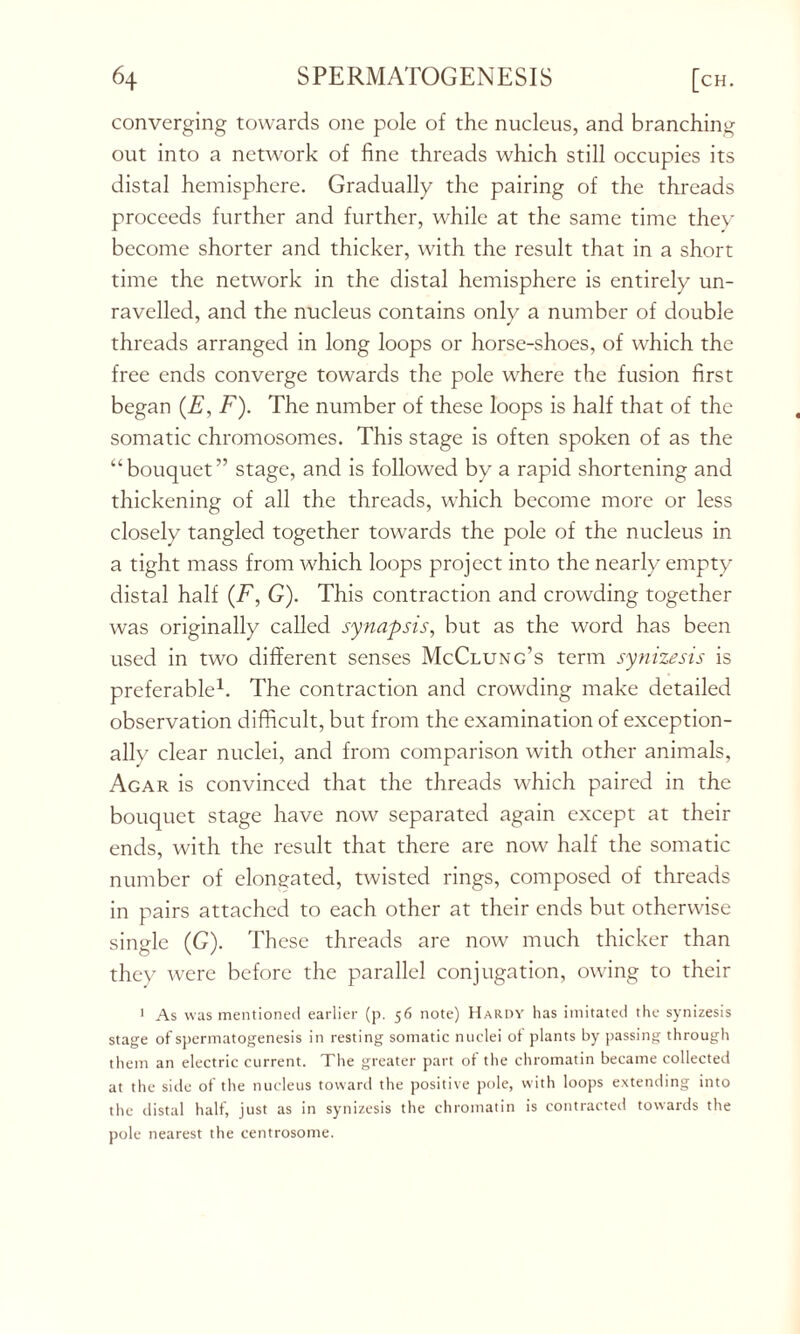 converging towards one pole of the nucleus, and branching out into a network of fine threads which still occupies its distal hemisphere. Gradually the pairing of the threads proceeds further and further, while at the same time they become shorter and thicker, with the result that in a short time the network in the distal hemisphere is entirely un- ravelled, and the nucleus contains only a number of double threads arranged in long loops or horse-shoes, of which the free ends converge towards the pole where the fusion first began (E, F). The number of these loops is half that of the somatic chromosomes. This stage is often spoken of as the “bouquet” stage, and is followed by a rapid shortening and thickening of all the threads, which become more or less closely tangled together towards the pole of the nucleus in a tight mass from wdiich loops project into the nearly empty distal half (F, G). This contraction and crowding together was originally called synapsis, but as the word has been used in two different senses McClung’s term synizesis is preferable1. The contraction and crowding make detailed observation difficult, but from the examination of exception- ally clear nuclei, and from comparison with other animals, Agar is convinced that the threads which paired in the bouquet stage have now separated again except at their ends, with the result that there are now half the somatic number of elongated, twisted rings, composed of threads in pairs attached to each other at their ends but otherwise single (G). These threads are now much thicker than they were before the parallel conjugation, owing to their 1 As was mentioned earlier (p. 56 note) Hardy has imitated the synizesis stage of spermatogenesis in resting somatic nuclei of plants by passing through them an electric current. The greater part of the chromatin became collected at the side of the nucleus toward the positive pole, with loops extending into the distal half, just as in synizesis the chromatin is contracted towards the pole nearest the centrosome.