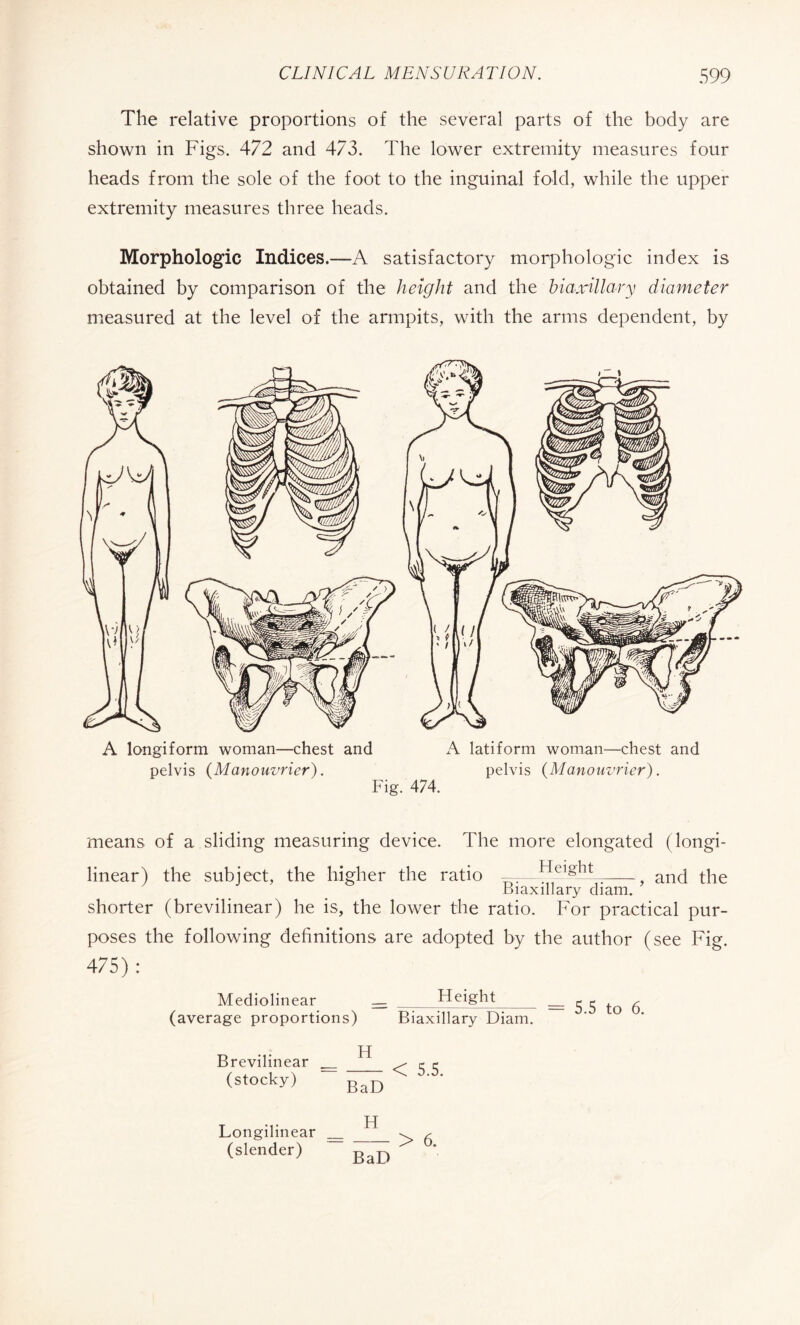 The relative proportions of the several parts of the body are shown in Figs, 472 and 473. The lower extremity measures four heads from the sole of the foot to the inguinal fold, while the upper extremity measures three heads. Morphologic Indices.—A satisfactory morphologic index is obtained by comparison of the height and the biaxillary diameter measured at the level of the armpits, with the arms dependent, by A longiform woman—chest and A latiform woman—chest and pelvis (Manouvrier). pelvis (Manouvrier). Fig. 474. means of a sliding measuring device. The more elongated (longi- linear) the subject, the higher the ratio ——Height^- an<d the Biaxillary diam. shorter (brevilinear) he is, the lower the ratio. For practical pur¬ poses the following definitions are adopted by the author (see Fig. 475) : Mediolinear _ Height_ = 5 5 to 6 (average proportions) Biaxillary Diam. Brevilinear (stocky) H - < 5.5. BaD Longilinear (slender) H BaD > 6.