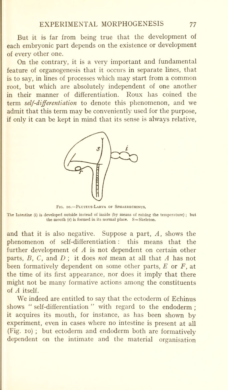 But it is far from being true that the development of each embryonic part depends on the existence or development of every other one. On the contrary, it is a very important and fundamental feature of organogenesis that it occurs in separate lines, that is to say, in lines of processes which may start from a common root, but which are absolutely independent of one another in their manner of differentiation. Roux has coined the term self-differentiation to denote this phenomenon, and we admit that this term may be conveniently used for the purpose, if only it can be kept in mind that its sense is always relative, Fig. io.—Pluteus-Larva of Sphaerechinus. The Intestine (i) is developed outside instead of inside (by means of raising the temperature) ; but the mouth (r) is formed in its normal place. S = Skeleton. and that it is also negative. Suppose a part, A, shows the phenomenon of self-differentiation : this means that the further development of A is not dependent on certain other parts, B, C, and D ; it does not mean at all that A has not been formatively dependent on some other parts, E or F, at the time of its first appearance, nor does it imply that there might not be many formative actions among the constituents of A itself. We indeed are entitled to say that the ectoderm of Echinus shows “ self-differentiation ” with regard to the endoderm ; it acquires its mouth, for instance, as has been shown by experiment, even in cases where no intestine is present at all (Fig. io) ; but ectoderm and endoderm both are formatively dependent on the intimate and the material organisation