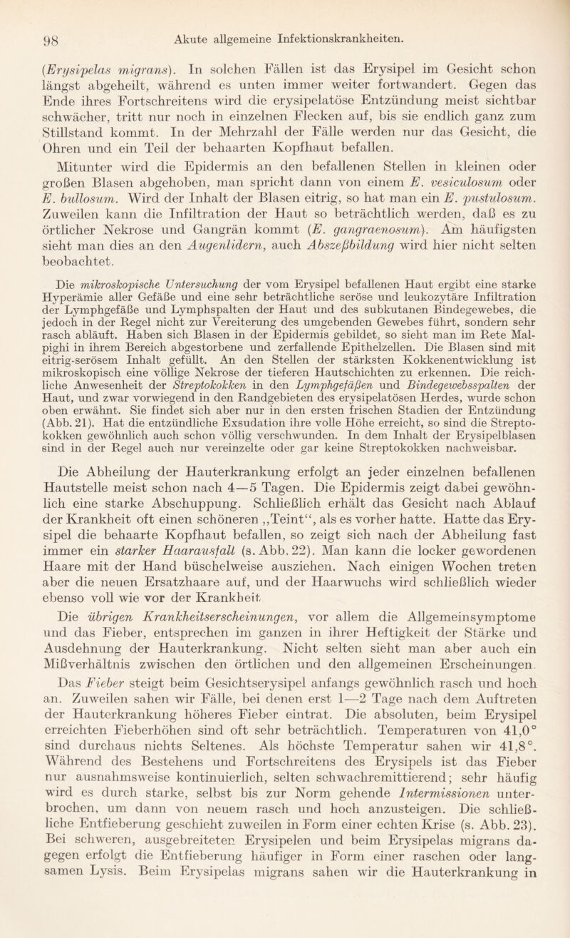 (.Ery sipelas migrans). In solchen Fällen ist das Erysipel im Gesicht schon längst abgeheilt, während es unten immer weiter fortwandert. Gegen das Ende ihres Fortschreitens wird die erysipelatöse Entzündung meist sichtbar schwächer, tritt nur noch in einzelnen Flecken auf, bis sie endlich ganz zum Stillstand kommt. In der Mehrzahl der Fälle werden nur das Gesicht, die Ohren und ein Teil der behaarten Kopfhaut befallen. Mitunter wird die Epidermis an den befallenen Stellen in kleinen oder großen Blasen abgehoben, man spricht dann von einem E. vesiculosum oder E. bullosum. Wird der Inhalt der Blasen eitrig, so hat man ein E. pustulosum. Zuweilen kann die Infiltration der Haut so beträchtlich werden, daß es zu örtlicher Nekrose und Gangrän kommt (E. gangraenosum). Am häufigsten sieht man dies an den Augenlidern, auch Abszeßbildung wird hier nicht selten beobachtet. Die mikroskopische Untersuchung der vom Erysipel befallenen Haut ergibt eine starke Hyperämie aller Gefäße und eine sehr beträchtliche seröse und leukozytäre Infiltration der Lymphgefäße und Lymphspalten der Haut und des subkutanen Bindegewebes, die jedoch in der Regel nicht zur Vereiterung des umgebenden Gewebes führt, sondern sehr rasch abläuft. Haben sich Blasen in der Epidermis gebildet, so sieht man im Rete Mal- pighi in ihrem Bereich abgestorbene und zerfallende Epithelzellen. Die Blasen sind mit eitrig-serösem Inhalt gefüllt. An den Stellen der stärksten Kokkenentwicklung ist mikroskopisch eine völlige Nekrose der tieferen Hautschichten zu erkennen. Die reich¬ liche Anwesenheit der Streptokokken in den Lymphgefäßen und Bindegewebsspalten der Haut, und zwar vorwiegend in den Randgebieten des erysipelatösen Herdes, wurde schon oben erwähnt. Sie findet sich aber nur in den ersten frischen Stadien der Entzündung (Abb. 21). Hat die entzündliche Exsudation ihre volle Höhe erreicht, so sind die Strepto¬ kokken gewöhnlich auch schon völlig verschwunden. In dem Inhalt der Erysipelblasen sind in der Regel auch nur vereinzelte oder gar keine Streptokokken nachweisbar. Die Abheilung der Hauterkrankung erfolgt an jeder einzelnen befallenen Hautstelle meist schon nach 4—5 Tagen. Die Epidermis zeigt dabei gewöhn¬ lich eine starke Abschuppung. Schließlich erhält das Gesicht nach Ablauf der Krankheit oft einen schöneren ,,Teint“, als es vorher hatte. Hatte das Ery¬ sipel die behaarte Kopfhaut befallen, so zeigt sich nach der Abheilung fast immer ein starker Haarausfall (s. Abb. 22). Man kann die locker gewordenen Haare mit der Hand büschelweise ausziehen. Nach einigen Wochen treten aber die neuen Ersatzhaare auf, und der Haarwuchs wird schließlich wieder ebenso voll wie vor der Krankheit Die übrigen Krankheitserscheinungen, vor allem die Allgemeinsymptome und das Fieber, entsprechen im ganzen in ihrer Heftigkeit der Stärke und Ausdehnung der Hauterkrankung. Nicht selten sieht man aber auch ein Mißverhältnis zwischen den örtlichen und den allgemeinen Erscheinungen. Das Fieber steigt beim Gesichtserysipel anfangs gewöhnlich rasch und hoch an. Zuweilen sahen wir Fälle, bei denen erst 1—2 Tage nach dem Auftreten der Hauterkrankung höheres Fieber eintrat. Die absoluten, beim Erysipel erreichten Fieberhöhen sind oft sehr beträchtlich. Temperaturen von 41,0° sind durchaus nichts Seltenes. Als höchste Temperatur sahen wir 41,8°. Während des Bestehens und Fortschreitens des Erysipels ist das Fieber nur ausnahmsweise kontinuierlich, selten schwachremittierend; sehr häufig wird es durch starke, selbst bis zur Norm gehende Intermissionen unter¬ brochen, um dann von neuem rasch und hoch anzusteigen. Die schließ- liehe Entfieberung geschieht zuweilen in Form einer echten Krise (s. Abb. 23). Bei schweren, ausgebreiteten Erysipelen und beim Erysipelas migrans da¬ gegen erfolgt die Entfieberung häufiger in Form einer raschen oder lang¬ samen Lysis. Beim Erysipelas migrans sahen wir die Hauterkrankung in