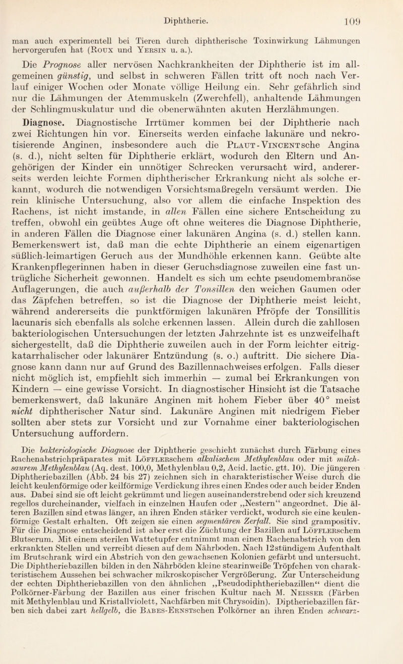 man auch experimentell bei Tieren durch diphtherische Toxinwirkung Lähmungen hervorgerufen hat (Roux und Yersin u. a.). Die Prognose aller nervösen Nachkrankheiten der Diphtherie ist im all¬ gemeinen günstig, und selbst in schweren Fällen tritt oft noch nach Ver¬ lauf einiger Wochen oder Monate völlige Heilung ein. Sehr gefährlich sind nur die Lähmungen der Atemmuskeln (Zwerchfell), anhaltende Lähmungen der Schlingmuskulatur und die obenerwähnten akuten Herzlähmungen. Diagnose. Diagnostische Irrtümer kommen bei der Diphtherie nach zwei Richtungen hin vor. Einerseits werden einfache lakunäre und nekro¬ tisierende Anginen, insbesondere auch die Plaut-Vincent sehe Angina (s. d.), nicht selten für Diphtherie erklärt, wodurch den Eltern und An¬ gehörigen der Kinder ein unnötiger Schrecken verursacht wird, anderer¬ seits werden leichte Formen diphtherischer Erkrankung nicht als solche er¬ kannt, wodurch die notwendigen Vorsichtsmaßregeln versäumt werden. Die rein klinische Untersuchung, also vor allem die einfache Inspektion des Rachens, ist nicht imstande, in allen Fällen eine sichere Entscheidung zu treffen, obwohl ein geübtes Auge oft ohne weiteres die Diagnose Diphtherie, in anderen Fällen die Diagnose einer lakunären Angina (s. d.) stellen kann. Bemerkenswert ist, daß man die echte Diphtherie an einem eigenartigen süßlich-leimartigen Geruch aus der Mundhöhle erkennen kann. Geübte alte Krankenpflegerinnen haben in dieser Geruchsdiagnose zuweilen eine fast un¬ trügliche Sicherheit gewonnen. Handelt es sich um echte pseudomembranöse Auflagerungen, die auch außerhalb der Tonsillen den weichen Gaumen oder das Zäpfchen betreffen, so ist die Diagnose der Diphtherie meist leicht, während andererseits die punktförmigen lakunären Pfropfe der Tonsillitis lacunaris sich ebenfalls als solche erkennen lassen. Allein durch die zahllosen bakteriologischen Untersuchungen der letzten Jahrzehnte ist es unzweifelhaft sichergestellt, daß die Diphtherie zuweilen auch in der Form leichter eitrig¬ katarrhalischer oder lakunärer Entzündung (s. o.) auf tritt. Die sichere Dia¬ gnose kann dann nur auf Grund des Bazillennachweises erfolgen. Falls dieser nicht möglich ist, empfiehlt sich immerhin — zumal bei Erkrankungen von Kindern — eine gewisse Vorsicht. In diagnostischer Hinsicht ist die Tatsache bemerkenswert, daß lakunäre Anginen mit hohem Fieber über 40° meist nicht diphtherischer Natur sind. Lakunäre Anginen mit niedrigem Fieber sollten aber stets zur Vorsicht und zur Vornahme einer bakteriologischen Untersuchung auf fordern. Die bakteriologische Diagnose der Diphtherie geschieht zunächst durch Färbung eines Rachenabstrichpräparates mit LÖFELERschem alkalischem Methylenblau oder mit milch¬ saurem Methylenblau (Aq. dest. 100,0, Methylenblau 0,2, Acid. lactic. gtt. 10). Die jüngeren Diphtheriebazillen (Abb. 24 bis 27) zeichnen sich in charakteristischer Weise durch die leicht keulenförmige oder keilförmige Verdickung ihres einen Endes oder auch beider Enden aus. Dabei sind sie oft leicht gekrümmt und liegen auseinanderstrebend oder sich kreuzend regellos durcheinander, vielfach in einzelnen Haufen oder „Nestern“ angeordnet. Die äl¬ teren Bazillen sind etwas länger, an ihren Enden stärker verdickt, wodurch sie eine keulen¬ förmige Gestalt erhalten. Oft zeigen sie einen segmentären Zerfall. Sie sind grampositiv. Für die Diagnose entscheidend ist aber erst die Züchtung der Bazillen auf LÖFFLERschem Blutserum. Mit einem sterilen Wattetupfer entnimmt man einen Rachenabstrich von den erkrankten Stellen und verreibt diesen auf dem Nährboden. Nach 12stündigem Aufenthalt im Brutschrank wird ein Abstrich von den gewachsenen Kolonien gefärbt und untersucht. Die Diphtheriebazillen bilden in den Nährböden kleine stearinweiße Tröpfchen von charak¬ teristischem Aussehen bei schwacher mikroskopischer Vergrößerung. Zur Unterscheidung der echten Diphtheriebazillen von den ähnlichen „Pseudodiphtheriebazillen“ dient die Polkörner-Färbung der Bazillen aus einer frischen Kultur nach M. Neisser (Färben mit Methylenblau und Kristallviolett, Nachfärben mit Chrysoidin). Diptheriebazillen fär¬ ben sich dabei zart hellgelb, die BABES-ERNSTschen Polkörner an ihren Enden schwarz-