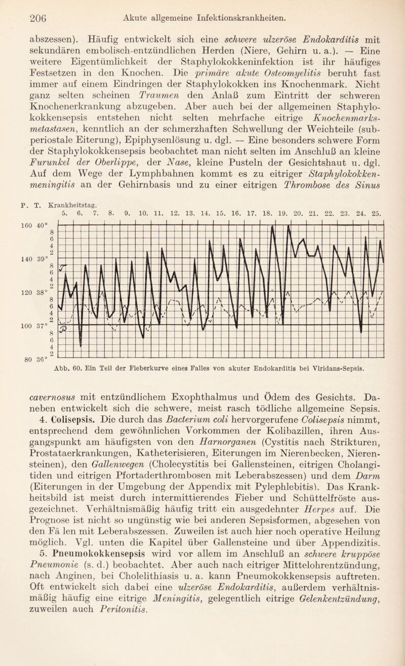 abszessen). Häufig entwickelt sich eine schwere ulzeröse Endokarditis mit sekundären embolisch-entzündlichen Herden (Niere, Gehirn u. a.). — Eine weitere Eigentümlichkeit der Staphylokokkeninfektion ist ihr häufiges Festsetzen in den Knochen. Hie primäre akute Osteomyelitis beruht fast immer auf einem Eindringen der Staphylokokken ins Knochenmark. Nicht ganz selten scheinen Traumen den Anlaß zum Eintritt der schweren Knochenerkrankung abzugeben. Aber auch bei der allgemeinen Staphylo¬ kokkensepsis entstehen nicht selten mehrfache eitrige Knochenmarks¬ metastasen, kenntlich an der schmerzhaften Schwellung der Weichteile (sub¬ periostale Eiterung), Epiphysenlösung u. dgl. — Eine besonders schwere Form der Staphylokokkensepsis beobachtet man nicht selten im Anschluß an kleine Furunkel der Oberlippe, der Nase, kleine Pusteln der Gesichtshaut u. dgl. Auf dem Wege der Lymphbahnen kommt es zu eitriger Staphylokokken - meningitis an der Gehirnbasis und zu einer eitrigen Thrombose des Sinus P. T. Krankheitstag. 5. 6. 7. 8. 9. 10. 11. 12. 13. 14. 15. 16. 17. 18. 19. 20. 21. 22. 23. 24. 25. Abb. 60. Ein Teil der Fieberkurve eines Falles von akuter Endokarditis bei Yiridans-Sepsis. cavernosus mit entzündlichem Exophthalmus und Ödem des Gesichts. Da¬ neben entwickelt sich die schwere, meist rasch tödliche allgemeine Sepsis. 4. Colisepsis. Die durch das Bacterium coli hervorgerufene Colisepsis nimmt, entsprechend dem gewöhnlichen Vorkommen der Kolibazillen, ihren Aus¬ gangspunkt am häufigsten von den Harnorganen (Cystitis nach Strikturen, Prostataerkrankungen, Katheterisieren, Eiterungen im Nierenbecken, Nieren¬ steinen), den Gallenwegen (Cholecystitis bei Gallensteinen, eitrigen Cholangi- tiden und eitrigen Pfortaderthrombosen mit Leberabszessen) und dem Darm (Eiterungen in der Umgebung der Appendix mit Pylephlebitis). Das Krank¬ heitsbild ist meist durch intermittierendes Fieber und Schüttelfröste aus¬ gezeichnet. Verhältnismäßig häufig tritt ein ausgedehnter Herpes auf. Die Prognose ist nicht so ungünstig wie bei anderen Sepsisformen, abgesehen von den Fä len mit Leberabszessen. Zuweilen ist auch hier noch operative Heilung möglich. Vgl. unten die Kapitel über Gallensteine und über Appendizitis. 5. Pneumokokkensepsis wird vor allem im Anschluß an schwere kruppöse Pneumonie (s. d.) beobachtet. Aber auch nach eitriger Mittelohrentzündung, nach Anginen, bei Cholelithiasis u. a. kann Pneumokokkensepsis auftreten. Oft entwickelt sich dabei eine ulzeröse Endokarditis, außerdem verhältnis¬ mäßig häufig eine eitrige Meningitis, gelegentlich eitrige Gelenkentzündung, zuweilen auch Peritonitis.
