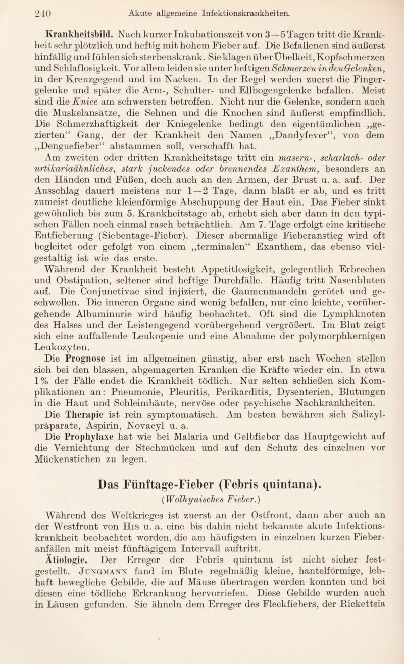 Krankheitsbild. Nach kurzer Inkubationszeit von 3 —5 Tagen tritt die Krank¬ heit sehr plötzlich und heftig mit hohem Fieber auf. Die Befallenen sind äußerst hinfällig und fühlen sich sterbenskrank. Sie klagen über Übelkeit, Kopfschmerzen und Schlaflosigkeit. Vor allem leiden sie unter heftigen Schmerzen in denGelenken, in der Kreuzgegend und im Nacken. In der Regel werden zuerst die Finger¬ gelenke und später die Arm-, Schulter- und Ellbogengelenke befallen. Meist sind die Kniee am schwersten betroffen. Nicht nur die Gelenke, sondern auch die Muskelansätze, die Sehnen und die Knochen sind äußerst empfindlich. Die Schmerzhaftigkeit der Kniegelenke bedingt den eigentümlichen „ge¬ zierten“ Gang, der der Krankheit den Namen „Dandyfever“, von dem „Denguefieber“ abstammen soll, verschafft hat. Am zweiten oder dritten Krankheitstage tritt ein masern-, Scharlach- oder urtikariaähnliches, stark juckendes oder brennendes Exanthem, besonders an den Händen und Füßen, doch auch an den Armen, der Brust u. a. auf. Der Ausschlag dauert meistens nur 1 — 2 Tage, dann blaßt er ab, und es tritt zumeist deutliche kleienförmige Abschuppung der Haut ein. Das Fieber sinkt gewöhnlich bis zum 5. Krankheitstage ab, erhebt sich aber dann in den typi¬ schen Fällen noch einmal rasch beträchtlich. Am 7. Tage erfolgt eine kritische Entfieberung (Siebentage-Fieber). Dieser abermalige Fieberanstieg wird oft begleitet oder gefolgt von einem „terminalen“ Exanthem, das ebenso viel¬ gestaltig ist wie das erste. Während der Krankheit besteht Appetitlosigkeit, gelegentlich Erbrechen und Obstipation, seltener sind heftige Durchfälle. Häufig tritt Nasenbluten auf. Die Conjunctivae sind injiziert, die Gaumenmandeln gerötet und ge¬ schwollen. Die inneren Organe sind wenig befallen, nur eine leichte, vorüber¬ gehende Albuminurie wird häufig beobachtet. Oft sind die Lymphknoten des Halses und der Leistengegend vorübergehend vergrößert. Im Blut zeigt sich eine auffallende Leukopenie und eine Abnahme der polymorphkernigen Leukozyten. Die Prognose ist im allgemeinen günstig, aber erst nach Wochen stellen sich bei den blassen, abgemagerten Kranken die Kräfte wieder ein. In etwa 1% der Fälle endet die Krankheit tödlich. Nur selten schließen sich Kom¬ plikationen an: Pneumonie, Pleuritis, Perikarditis, Dysenterien, Blutungen in die Haut und Schleimhäute, nervöse oder psychische Nachkrankheiten. Die Therapie ist rein symptomatisch. Am besten bewähren sich Salizyl- präparate, Aspirin, Novacyl u. a. Die Prophylaxe hat wie bei Malaria und Gelbfieber das Hauptgewicht auf die Vernichtung der Stechmücken und auf den Schutz des einzelnen vor Mückenstichen zu legen. Das Fünftage-Fieber (Febris quintana). (Wolhynisches Fieber.) Während des Weltkrieges ist zuerst an der Ostfront, dann aber auch an der Westfront von His u. a. eine bis dahin nicht bekannte akute Infektions¬ krankheit beobachtet worden, die am häufigsten in einzelnen kurzen Fieber¬ anfällen mit meist fünftägigem Intervall auftritt. Ätiologie. Der Erreger der Febris quintana ist nicht sicher fest¬ gestellt. Jungmann fand im Blute regelmäßig kleine, hantelförmige, leb¬ haft bewegliche Gebilde, die auf Mäuse übertragen werden konnten und bei diesen eine tödliche Erkrankung hervorriefen. Diese Gebilde wurden auch in Läusen gefunden. Sie ähneln dem Erreger des Fleckfiebers, der Rickettsia