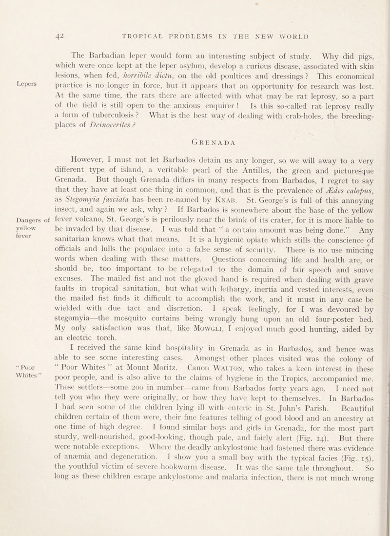 Lepers Dangers yellow fever  Poor Whites ’ The Barbadian leper would form an interesting subject of study. Why did pigs, which were once kept at the leper asylum, develop a curious disease, associated with skin lesions, when fed, horribile dictu, on the old poultices and dressings ? This economical practice is no longer in force, but it appears that an opportunity for research was lost. At the same time, the rats there are affected with what may be rat leprosy, so a part of the held is still open to the anxious enquirer ! Is this so-called rat leprosy really a form of tuberculosis ? What is the best way of dealing with crab-holes, the breeding- places of Deinocerites ? Grenada However, I must not let Barbados detain us any longer, so we will away to a very different type of island, a veritable pearl of the Antilles, the green and picturesque Grenada. But though Grenada differs in many respects from Barbados, I regret to say that they have at least one thing in common, and that is the prevalence of JEdes calopus, as Stegomyia fasciata has been re-named by Ivnab. St. George’s is full of this annoying insect, and again we ask, why ? If Barbados is somewhere about the base of the yellow of fever volcano, St. George’s is perilously near the brink of its crater, for it is more liable to be invaded by that disease. I was told that “ a certain amount was being done.” Any sanitarian knows what that means. It is a hygienic opiate which stills the conscience of officials and lulls the populace into a false sense of security. There is no use mincing words when dealing with these matters. Questions concerning life and health are, or should be, too important to be relegated to the domain of fair speech and suave excuses. The mailed fist and not the gloved hand is required when dealing with grave faults in tropical sanitation, but what with lethargy, inertia and vested interests, even the mailed fist finds it difficult to accomplish the work, and it must in any case be wielded with due tact and discretion. I speak feelingly, for I was devoured by stegomyia—the mosquito curtains being wrongly hung upon an old four-poster bed. My only satisfaction was that, like Mowgli, I enjoyed much good hunting, aided by an electric torch. I received the same kind hospitality in Grenada as in Barbados, and hence was able to see some interesting cases. Amongst other places visited was the colony of Poor Whites at Mount Moritz. Canon Walton, who takes a keen interest in these poor people, and is also alive to the claims of hygiene in the Tropics, accompanied me. I hese settlers—some 200 in number—came from Barbados forty years ago. I need not tell you who they were originally, or how they have kept to themselves. In Barbados I had seen some of the children lying ill with enteric in St. John’s Parish. Beautiful children certain of them were, their fine features telling of good blood and an ancestry at one time of high degree. I found similar boys and girls in Grenada, for the most part sturdy, well-nourished, good-looking, though pale, and fairly alert (Fig. 14). But there were notable exceptions. Where the deadly ankylostome had fastened there was evidence of anaemia and degeneration. I show you a small boy with the typical facies (Fig. 15), the youthful victim of severe hookworm disease. It was the same tale throughout. So long as these children escape ankylostome and malaria infection, there is not much wrong