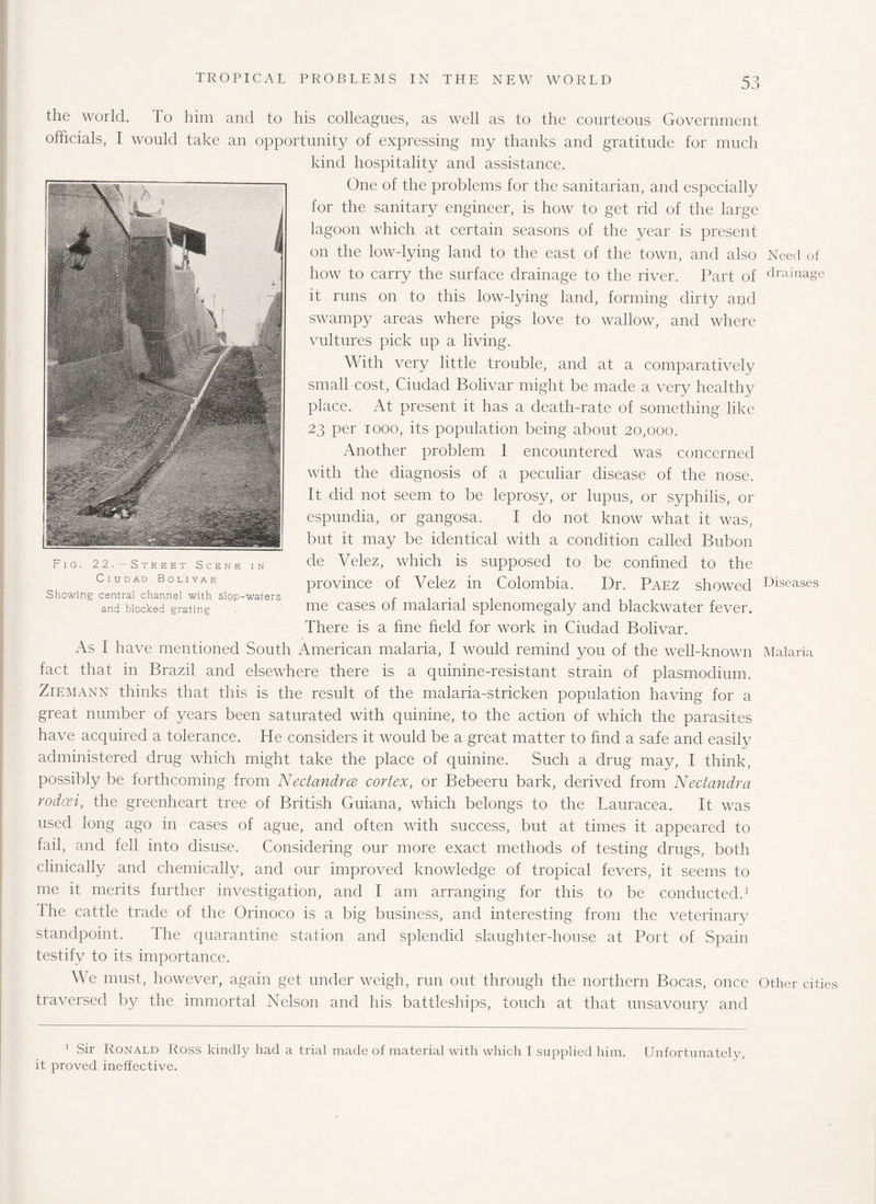 the world. To him and to his colleagues, as well as to the courteous Government officials, I would take an opportunity of expressing my thanks and gratitude for much kind hospitality and assistance. One of the problems for the sanitarian, and especially for the sanitary engineer, is how to get rid of the large lagoon which at certain seasons of the year is present on the low-lying land to the east of the town, and also Need of how to carry the surface drainage to the river. Part of drainage it runs on to this low-lying land, forming dirty apd swampy areas where pigs love to wallow, and where vultures pick up a living. With very little trouble, and at a comparatively small cost, Ciudad Bolivar might be made a very healthy place. At present it has a death-rate of something like 23 per rooo, its population being about 20,000. Another problem 1 encountered was concerned with the diagnosis of a peculiar disease of the nose. It did not seem to be leprosy, or lupus, or syphilis, or espundia, or gangosa. I do not know what it was, but it may be identical with a condition called Bubon fig. 22.-street Scene in de Velez, which is supposed to be conhned to the Ciudad Bolivar province of Velez ill Colombia. Dr. PAEZ showed Diseases Showing central channel with slop-waters c . and blocked grating me cases oi malarial splenomegaly and blackwater fever. There is a fine field for work in Ciudad Bolivar. As I have mentioned South American malaria, I would remind you of the well-known Malaria fact that in Brazil and elsewdiere there is a quinine-resistant strain of plasmodium. Ziemann thinks that this is the result of the malaria-stricken population having for a great number of years been saturated with quinine, to the action of which the parasites have acquired a tolerance. He considers it would be a great matter to find a safe and easily administered drug which might take the place of quinine. Such a drug may, I think, possibly be forthcoming from Nectandrce cortex, or Bebeeru bark, derived from Nectandra rodcei, the greenheart tree of British Guiana, which belongs to the Lauracea. It was used long ago in cases of ague, and often with success, but at times it appeared to fail, and fell into disuse. Considering our more exact methods of testing drugs, both clinically and chemically, and our improved knowledge of tropical fevers, it seems to me it merits further investigation, and I am arranging for this to be conducted.1 the cattle trade of the Orinoco is a big business, and interesting from the veterinary standpoint. The quarantine station and splendid slaughter-house at Port of Spain testify to its importance. We must, however, again get under weigh, run out through the northern Bocas, once Other cities traversed by the immortal Nelson and his battleships, touch at that unsavoury and 1 Sir Ronald Ross kindly had a trial made of material with which I supplied him. Unfortunately, it proved ineffective.