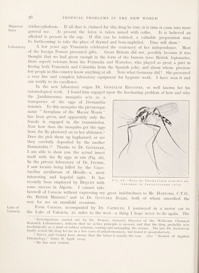 Higueron latex Laboratory Lake of Valencia trichocephaliasis. If all that is claimed for this drug be true, it is time it came into more general use. At present the latex is taken mixed with coffee. It is believed an alkaloid is present in the sap. If this can be isolated, a valuable preparation may be forthcoming to take the place of thymol and beta-naphthol. Time will show.1 A few years ago Venezuela celebrated the centenary of her independence. Most of the foreign Powers presented gifts. Great Britain did not, possibly because it was thought that we had given enough in the form of the famous 6000 British legionaries, those superb veterans from the Peninsula and Waterloo, who played so great a part in freeing both Venezuela and Colombia from the Spanish yoke, and about whom precious few people in this country know anything at all. Note what Germany did ! She presented a very fine and complete laboratory equipment for hygienic work. I have seen it and can testify to its excellence. In the new laboratory reigns Dr. Gonzalez Rincones, so well known for his entomological work. I found him engaged upon the fascinating problem of how and why the Janthinosoma mosquito acts as a transporter of the eggs of Dermatobia hominis. To this mosquito the picturesque name “ Aeroplane of the Macaw Worm ” has been given, and apparently only the female is engaged in the transmission. Now how does the mosquito get the eggs from the fly plastered on to her abdomen ? Does she pick them up haphazard, or are they carefully deposited by the mother Dermatobia ?'2 Thanks to Dr. Gonzalez, I am able to show you the actual insect itself with the fly eggs in situ (Fig. 26). In the private laboratory of Dr. Iturbe, I saw locusts being killed by the Cocco- bacillus acridiorum of Herelle—a most interesting and hopeful sight. It has recently been employed by Bequet with some success in Algeria. I cannot take farewell of Caracas without expressing my great indebtedness to Mr. Harford, C.V.O., the British Minister,3 and to Dr. Guevara Rojas, both of whom smoothed the way for me on manifold occasions. Fiom Caracas, accompanied by Dr. Capriles, I journeyed in a motor car to the Lake of Valencia, 70 miles to the west—a thing I hope never to do again. The Fig. 26. Eggs of Dermatobia hominis on Abdomen of Janthinosoma lutzi 1 Investigations carried out by Dr. Pyman, formerly Director of the Wellcome Chemical Research Laboratories, indicate that no active principle is present, and that the drug probably acts mechanically as a kind of rubber solution, coating and entangling the worms. The late Dr. Sandwtth kindly tested the drug for me in a few cases of ankylostomiasis, but found it unsatisfactory. - Neiva and Gomez have shown that the latter is usually the case. (See “ Review of Applied Entomology,” Series B, April, 1919). 3 He has now retired.