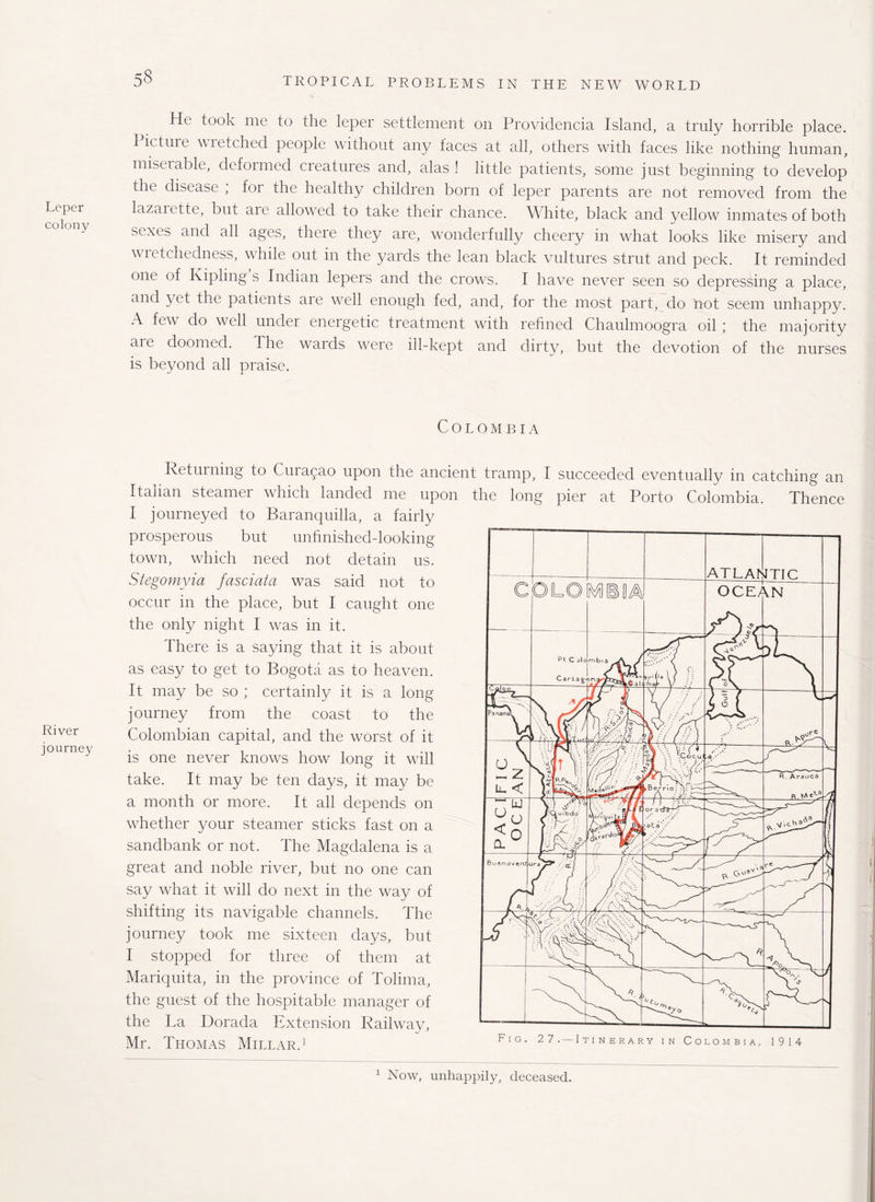Leper colony River journey 5^ TROPICAL PROBLEMS IN THE NEW WORLD Ho took me to the leper settlement on Providencia Island, a truly horrible place, lietme wietched people without any faces at all, others with faces like nothing human, miserable, defoimed creatures and, alas ! little patients, some just beginning to develop the disease , foi the healthy children born of leper parents are not removed from the lazarette, but aie allowed to take their chance. White, black and yellow inmates of both sexes and all ages, there they are, wonderfully cheery in what looks like misery and wretchedness, while out in the yards the lean black vultures strut and peck. It reminded one of Kipling s Indian lepers and the crows. I have never seen so depressing a place, and yet the patients are well enough fed, and, for the most part, do not seem unhappy. A few do well under energetic treatment with refined Chaulmoogra oil ; the majority aie doomed. The wards were ill-kept and dirty, but the devotion of the nurses is beyond all praise. Colombia Returning to Curasao upon the ancient tramp, I succeeded eventually in catching an Italian steamer which landed me upon the long pier at Porto Colombia. Thence I journeyed to Baranqnilla, a fairly prosperous but unfinished-looking town, which need not detain us. Stegomyia fasciata was said not to occur in the place, but I caught one the only night I was in it. There is a saying that it is about as easy to get to Bogota as to heaven. It may be so ; certainly it is a long journey from the coast to the Colombian capital, and the worst of it is one never knows how long it wall take. It may be ten days, it may be a month or more. It all depends on wTether your steamer sticks fast on a sandbank or not. The Magdalena is a great and noble river, but no one can say what it will do next in the way of shifting its navigable channels. The journey took me sixteen days, but I stopped for three of them at Mariquita, in the province of Tolima, the guest of the hospitable manager of the La Dorada Extension Railway, THOMAS MlILAR Fig. 27. Itinerary in Colombia, 1914