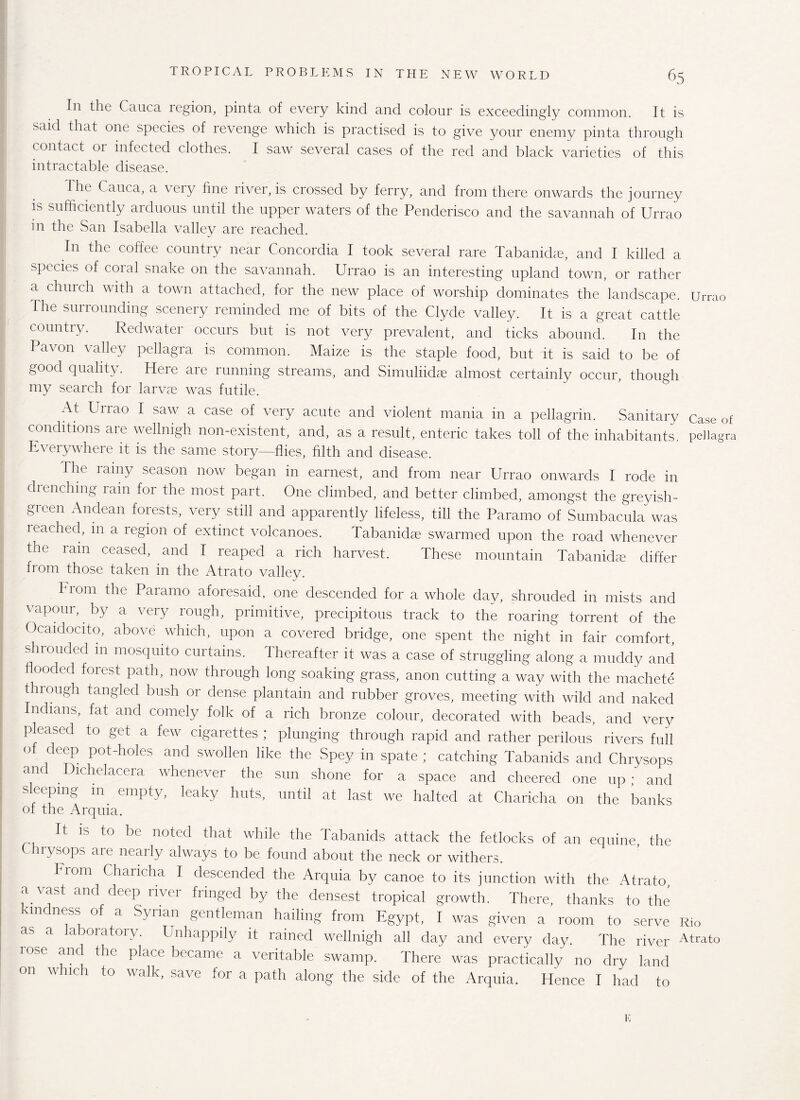 In the Cauca region, pinta of every kind and colour is exceedingly common. It is said that one species of revenge which is practised is to give your enemy pinta through contact or infected clothes. I saw several cases of the red and black varieties of this intractable disease. The Cauca, a very fine river, is crossed by ferry, and from there onwards the journey is sufficiently arduous until the upper waters of the Penderisco and the savannah of Urrao in the San Isabella valley are reached. In the coffee country near Concordia I took several rare Tabanidce, and I killed a spccits of coral snake on the savannah. Urrao is an interesting upland town, or rather a church with a town attached, for the new place of worship dominates the landscape. Urrao 1 he surrounding scenery reminded me of bits of the Clyde valley. It is a great cattle country. Redwater occurs but is not very prevalent, and ticks abound. In the Pavon valley pellagra is common. Maize is the staple food, but it is said to be of good quality. Here are running streams, and Simuliidse almost certainly occur, though my search for larvae was futile. At Urrao I saw a case of very acute and violent mania in a pellagrin. Sanitary Case of conditions are wellmgh non-existent, and, as a result, enteric takes toll of the inhabitants, pellagra Everywhere it is the same story—flies, filth and disease. The ramy season now began in earnest, and from near Urrao onwards I rode in drenching ram for the most part. One climbed, and better climbed, amongst the greyish- green Andean forests, very still and apparently lifeless, till the Paramo of Sumbacula was reached, in a region of extinct volcanoes. Tabanidae swarmed upon the road whenever the ram ceased, and I reaped a rich harvest. These mountain Tabanidce differ from those taken in the Atrato vallev. h 10m the Paramo aforesaid, one descended for a whole day, shrouded in mists and vapour, by a very rough, primitive, precipitous track to the roaring torrent of the Ocaidoeito, above which, upon a covered bridge, one spent the night in fair comfort, shrouded 111 mosquito curtains. Thereafter it was a case of struggling along a muddy and ooded forest path, now through long soaking grass, anon cutting a way with the machete thiough tangled bush or dense plantain and rubber groves, meeting with wild and naked Indians, fat and comely folk of a rich bronze colour, decorated with beads, and very pleased to get a few cigarettes ; plunging through rapid and rather perilous rivers full o deep pot-holes and swollen like the Spey in spate ; catching Tabanids and Chrysops and Dichelacera whenever the sun shone for a space and cheered one up • and sleeping 111 empty, leaky huts, until at last we halted at Charicha on the banks of the Arquia. 11 1S to be noted that while the Tabanids attack the fetlocks of an equine, the Chrysops are nearly always to be found about the neck or withers. brom Charicha I descended the Arquia by canoe to its junction with the Atrato a vast and deep river fringed by the densest tropical growth. There, thanks to the andness of a Syrian gentleman hailing from Egypt, I was given a room to serve Rio as a laboratory. Unhappily it rained wellnigh all day and every day. The river Atrato lose and the place became a veritable swamp. There was practically no dry land on which to walk, save for a path along the side of the Arquia. Hence I had to E