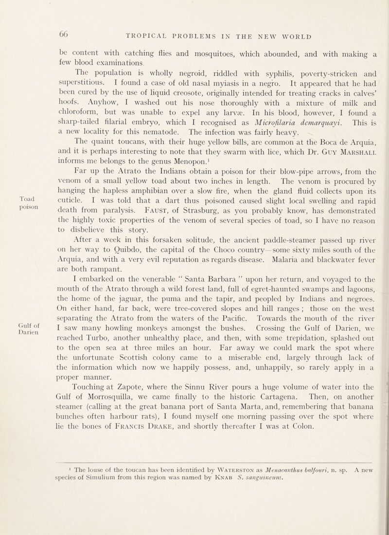 Toad poison Gulf of Darien be content with catching flies and mosquitoes, which abounded, and with making a few blood examinations. the population is wholly negroid, riddled with syphilis, poverty-stricken and superstitious. I found a case of old nasal myiasis in a negro. It appeared that he had been cured by the use of liquid creosote, originally intended for treating cracks in calves’ hoofs. Anyhow, I washed out his nose thoroughly with a mixture of milk and chloroform, but was unable to expel any larvae. In his blood, however, I found a sharp-tailed filarial embryo, which I recognised as Microfilaria demarquayi. This is a new locality for this nematode. The infection was fairly heavy. I he quaint toucans, with their huge yellow bills, are common at the Boca de Arquia, and it is perhaps interesting to note that they swarm with lice, which Dr. Guy Marshall informs me belongs to the genus Menopon.1 Far up the Atrato the Indians obtain a poison for their blow-pipe arrows, from the venom of a small yellow toad about two inches in length. The venom is procured by hanging the hapless amphibian over a slow fire, when the gland fluid collects upon its cuticle. I was told that a dart thus poisoned caused slight local swelling and rapid death from paralysis. Faust, of Strasburg, as you probably know, has demonstrated the highly toxic properties of the venom of several species of toad, so I have no reason to disbelieve this story. After a week in this forsaken solitude, the ancient paddle-steamer passed up river on her way to Quibdo, the capital of the Choco country - some sixty miles south of the Arquia, and with a very evil reputation as regards disease. Malaria and blackwater fever are both rampant. I embarked on the venerable “ Santa Barbara ” upon her return, and voyaged to the mouth of the Atrato through a wild forest land, full of egret-haunted swamps and lagoons, the home of the jaguar, the puma and the tapir, and peopled by Indians and negroes. On either hand, far back, were tree-covered slopes and hill ranges ; those on the west separating the Atrato from the waters of the Pacific. Towards the mouth of the river I saw many howling monkeys amongst the bushes. Crossing the Gulf of Darien, we reached Turbo, another unhealthy place, and then, with some trepidation, splashed out to the open sea at three miles an hour. Far away we could mark the spot where the unfortunate Scottish colony came to a miserable end, largely through lack of the information which now we happily possess, and, unhappily, so rarely apply in a proper manner. Touching at Zapote, where the Sinnu River pours a huge volume of water into the Gulf of Morrosquilla, we came finally to the historic Cartagena. Then, on another steamer (calling at the great banana port of Santa Marta, and, remembering that banana bunches often harbour rats), I found myself one morning passing over the spot where lie the bones of Francis Drake, and shortly thereafter I was at Colon. 1 The louse of the toucan has been identified by Waterston as Menacanthus balfouri, n. sp. A new species of Simulium from this region was named by Knab 5. sanguineuni.