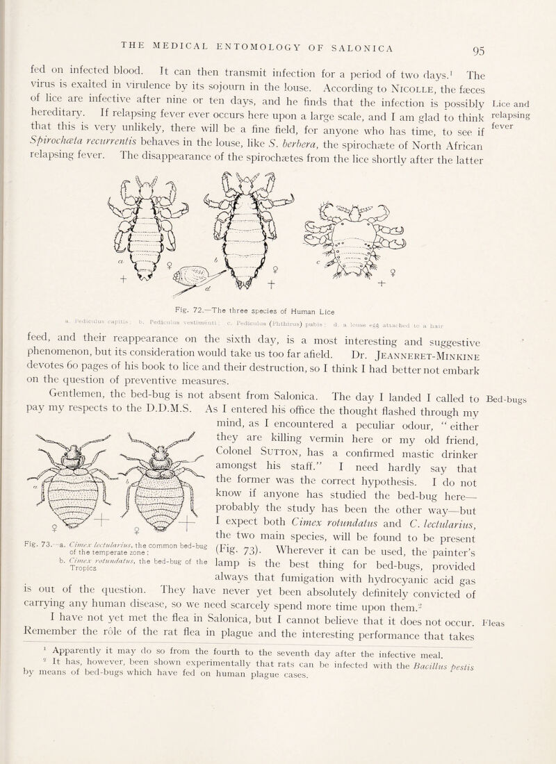 fed on infected blood. It can then transmit infection for a period of two clays.1 The viius is exalted in virulence by its sojourn in the louse. According to Nicolle, the fceces of lice are infective after nine or ten days, and he finds that the infection is possibly Lice and hereditary. If relapsing fever ever occurs here upon a large scale, and I am glad to think relapsing that this is very unlikely, there will be a fine held, for anyone who has time, to see if fever SpirocJmta recuvrentis behaves in the louse, like 5. berbera, the spirochete of North African relapsing fever. The disappearance of the spirochetes from the lice shortly after the latter Fig. 72.—The three species of Human Lice a. Pediculus capitis ; b. Pediculus vestimeuti c. Pediculus (Phthirus) pubis ; d. a louse attached to a hair feed, and their reappearance on the sixth day, is a most interesting and suggestive phenomenon, but its consideration would take us too far afield. Dr. Jeanneret-Minkine devotes 60 pages of his book to lice and their destruction, so I think I had better not embark on the question of preventive measures. Gentlemen, the bed-bug is not absent from Salonica. The day I landed I called to Bed-bugs pay my respects to the D.D.M.S. As I entered his office the thought flashed through my mind, as I encountered a peculiar odour, “ either they are killing vermin here or my old friend, Colonel Sutton, has a confirmed mastic drinker amongst his staff.” I need hardly say that the former was the correct hypothesis. I do not know if anyone has studied the bed-bug here_- probably the study has been the other way—but I expect both Cimex rotundatus and C. lectularius, the two main species, will be found to be present 73)- Wherever it can be used, the painter's b- Tr^cs°tundatus’ the bed_bu& of the lamP is the best thing for bed-bugs, provided always that fumigation with hydrocyanic acid gas is out of the question. They have never yet been absolutely definitely convicted of carrying any human disease, so we need scarcely spend more time upon them.2 I have not yet met the flea in Salonica, but I cannot believe that it does not occur. Fleas Remember the role of the rat flea in plague and the interesting performance that takes 1 Apparently it may do so from the fourth to the seventh day after the infective meal. 2 It has, however, been shown experimentally that rats can be infected with the Bacillus testis by means of bed-bugs which have fed on human plague cases.