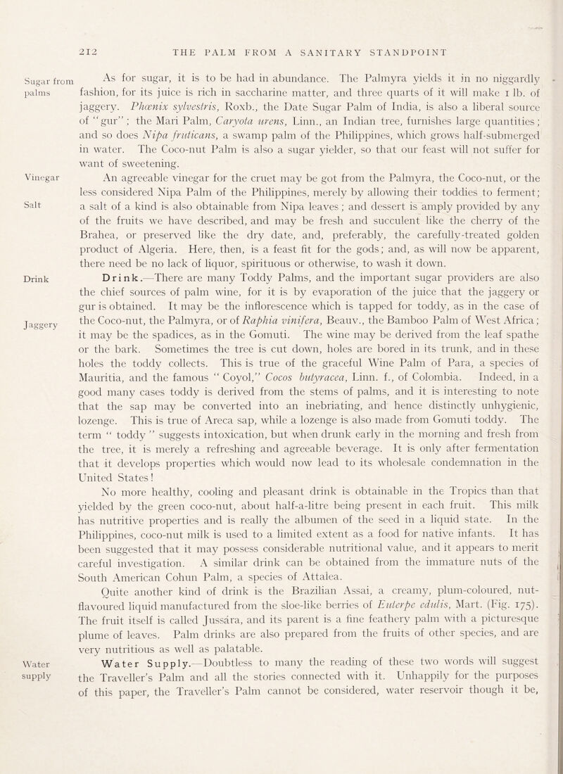 Sugar from palms Vinegar Salt Drink Jaggery Water supply As for sugar, it is to be had in abundance. The Palmyra yields it in no niggardly fashion, for its juice is rich in saccharine matter, and three quarts of it will make i lb. of jaggery. Phoenix sylvestris, Roxb., the Date Sugar Palm of India, is also a liberal source of “gur” ; the Mari Palm, Caryota urens, Linn., an Indian tree, furnishes large quantities; and so does Nipa fruticans, a swamp palm of the Philippines, which grows half-submerged in water. The Coco-nut Palm is also a sugar yielder, so that our feast will not suffer for want of sweetening. An agreeable vinegar for the cruet may be got from the Palmyra, the Coco-nut, or the less considered Nipa Palm of the Philippines, merely by allowing their toddies to ferment; a salt of a kind is also obtainable from Nipa leaves; and dessert is amply provided by any of the fruits we have described, and may be fresh and succulent like the cherry of the Brahea, or preserved like the dry date, and, preferably, the carefully-treated golden product of Algeria. Here, then, is a feast ht for the gods; and, as will now be apparent, there need be no lack of liquor, spirituous or otherwise, to wash it down. Drink.—There are many Toddy Palms, and the important sugar providers are also the chief sources of palm wine, for it is by evaporation of the juice that the jaggery or gur is obtained. It may be the inflorescence which is tapped for toddy, as in the case of the Coco-nut, the Palmyra, or of Raphia vinifera, Beauv., the Bamboo Palm of West Africa; it may be the spadices, as in the Gomuti. The wine may be derived from the leaf spathe or the bark. Sometimes the tree is cut down, holes are bored in its trunk, and in these holes the toddy collects. This is true of the graceful Wine Palm of Para, a species of Mauritia, and the famous “ Coyol,” Cocos butyracea, Linn, f., of Colombia. Indeed, in a good many cases toddy is derived from the stems of palms, and it is interesting to note that the sap may be converted into an inebriating, and hence distinctly unhygienic, lozenge. This is true of Areca sap, while a lozenge is also made from Gomuti toddy. The term “ toddy ” suggests intoxication, but when drunk early in the morning and fresh from the tree, it is merely a refreshing and agreeable beverage. It is only after fermentation that it develops properties which would now lead to its wholesale condemnation in the United States! No more healthy, cooling and pleasant drink is obtainable in the Tropics than that yielded by the green coco-nut, about half-a-litre being present in each fruit. This milk has nutritive properties and is really the albumen of the seed in a liquid state. In the Philippines, coco-nut milk is used to a limited extent as a food for native infants. It has been suggested that it may possess considerable nutritional value, and it appears to merit careful investigation. A similar drink can be obtained from the immature nuts of the South American Cohun Palm, a species of Attalea. Quite another kind of drink is the Brazilian Assai, a creamy, plum-coloured, nut- flavoured liquid manufactured from the sloe-like berries of Euterpe edulis, Mart. (Fig. 175). The fruit itself is called Jussara, and its parent is a fine feathery palm with a picturesque plume of leaves. Palm drinks are also prepared from the fruits of other species, and are very nutritious as well as palatable. Water Supply.—Doubtless to many the reading of these two words will suggest the Traveller’s Palm and all the stories connected with it. Unhappily for the purposes of this paper, the Traveller’s Palm cannot be considered, water reservoir though it be,