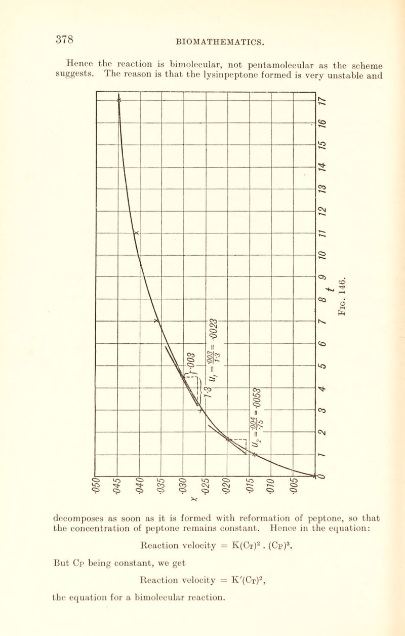 Hence the reaction is l)imolccnlar, not pentainolecular as tlic scheme 7 he reason is tliat the lysinpeptone formed is very unstable and decomposes as soon as it is formed with reformation of peptone, so that the concentration of j)ej)tonc remains constant. Hence in tlic e([uation; Reaction velocity = K(Ct) . (Cp)^. Rut Cp being constant, wo get Reaction velocity = K'(Ct)“, the equation for a bimoleeular reaction.
