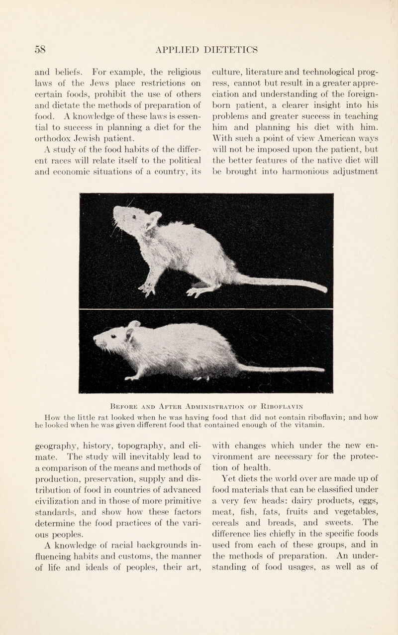 and beliefs. For example, the religious laws of the Jews place restrictions on certain foods, prohibit the use of others and dictate the methods of preparation of food. A knowledge of these laws is essen¬ tial to success in planning a diet for the orthodox Jewish patient. A study of the food habits of the differ¬ ent races will relate itself to the political and economic situations of a country, its culture, literature and technological prog¬ ress, cannot but result in a greater appre¬ ciation and understanding of the foreign- born patient, a clearer insight into his problems and greater success in teaching him and planning his diet with him. With such a point of view American ways will not be imposed upon the patient, but the better features of the native diet will be brought into harmonious adjustment Before and After Administration of Riboflavin How the little rat looked when he was having food that did not contain riboflavin; and how he looked when he was given different food that contained enough of the vitamin. geography, history, topography, and cli¬ mate. The study will inevitably lead to a comparison of the means and methods of production, preservation, supply and dis¬ tribution of food in countries of advanced civilization and in those of more primitive standards, and show how these factors determine the food practices of the vari¬ ous peoples. A knowledge of racial backgrounds in¬ fluencing habits and customs, the manner of life and ideals of peoples, their art, with changes which under the new en¬ vironment are necessary for the protec¬ tion of health. Yet diets the world over are made up of food materials that can be classified under a very few heads: dairy products, eggs, meat, fish, fats, fruits and vegetables, cereals and breads, and sweets. The difference lies chiefly in the specific foods used from each of these groups, and in the methods of preparation. An under¬ standing of food usages, as well as of
