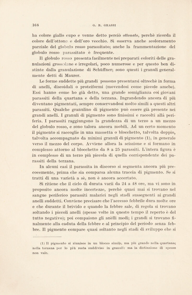 ha colore giallo cupo e venne detto perciò ottonato, perchè ricorda il colore dell’ottone e dell’oro vecchio. Si osserva anche scoloramento parziale del globulo rosso parassitato; anche la frammentazione del globulo rosso parassitato è frequente. Il globulo rosso presenta facilmente nei preparati coloriti delle gra¬ nulazioni grossolane e irregolari, poco numerose e per questo ben di¬ stinte dalla granulazione di Schuffner; sono questi i granuli general¬ mente detti di Maurer. Le forme suddette più grandi possono presentarsi oltreché in forma di anelli, discoidali o proteiformi (movendosi come piccole amebe). Essi hanno come ho già detto, una grande somiglianza coi giovani parassiti della quartana e della terzana. Ingrandendo ancora di più diventano pigmentati, sempre conservandosi molto simili a questi altri parassiti. Qualche granulino di pigmento può essere già presente nei grandi anelli. I granuli di pigmento sono finissimi e raccolti alla peri¬ feria. I parassiti raggiungono la grandezza di un terzo a un mezzo del globulo rosso, e sono talora ancora mobili. Ad un certo momento il pigmento si raccoglie in una massetta o blocchetto, talvolta doppio, talvolta accompagnato da minimi granuli di pigmento (1), in generale verso il mezzo del corpo. Avviene allora la scissione e si formano in complesso attorno al blocchetto da 8 a 25 parassiti. L’intera figura è in complesso di un terzo più piccola di quella corrispondente dei pa¬ rassiti della terzana. In alcuni casi il parassita in discorso si segmenta ancora più pre¬ cocemente, prima che sia comparsa alcuna traccia di pigmento. Se si tratti di una varietà a se, non è ancora accertato. Si ritiene che il ciclo di durata varii da 24 a 48 ore, ma vi sono in proposito ancora molte incertezze, perchè quasi mai si trovano nel sangue periferico parassiti malarici negli stadi susseguenti ai grandi anelli suddetti. Conviene precisare che l’accesso febbrile dura molte ore e che durante il brivido e quando la febbre sale, di regola si trovano soltando i piccoli anelli (spesse volte in questo tempo il reperto è del tutto negativo); poi compaiono gli anèlli medi; i grandi si trovano fi¬ nalmente alla caduta della febbre e al principio del periodo senza feb¬ bre. Il pigmento compare quasi soltanto negli stadi di sviluppo che si (1) Il pigmento si riunisce in un blocco simile, ma più grande nella quartana; nella terzana per lo più resta suddiviso in granuli: ma la distinzione di spesso non vale.