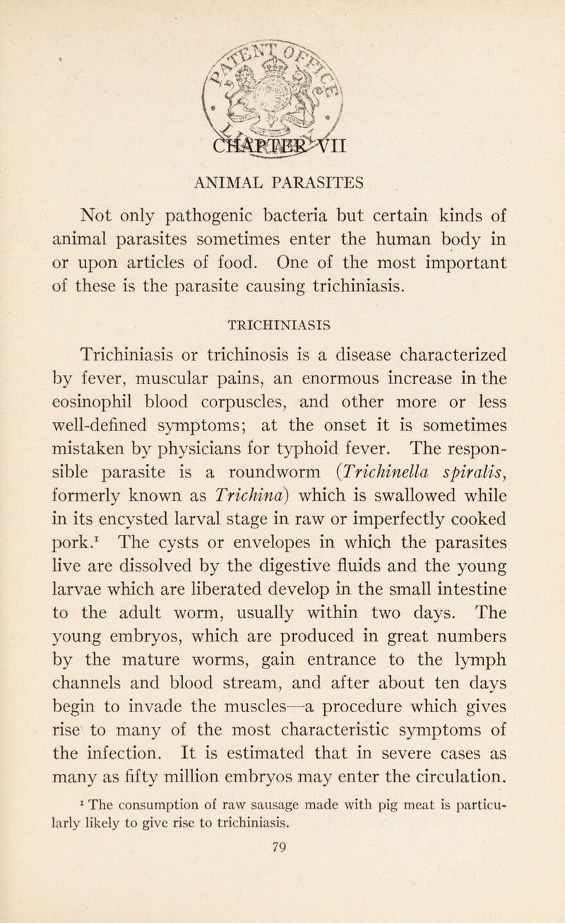 Not only pathogenic bacteria but certain kinds of animal parasites sometimes enter the human body in or upon articles of food. One of the most important of these is the parasite causing trichiniasis. TRICHINIASIS Trichiniasis or trichinosis is a disease characterized by fever, muscular pains, an enormous increase in the eosinophil blood corpuscles, and other more or less well-defined symptoms; at the onset it is sometimes mistaken by physicians for typhoid fever. The respon¬ sible parasite is a roundworm (Trichinella spiralis, formerly known as Trichina) which is swallowed while in its encysted larval stage in raw or imperfectly cooked pork.1 The cysts or envelopes in which the parasites live are dissolved by the digestive fluids and the young larvae which are liberated develop in the small intestine to the adult worm, usually within two days. The young embryos, which are produced in great numbers by the mature worms, gain entrance to the lymph channels and blood stream, and after about ten days begin to invade the muscles—a procedure which gives rise to many of the most characteristic symptoms of the infection. It is estimated that in severe cases as many as fifty million embryos may enter the circulation. 1 The consumption of raw sausage made with pig meat is particu¬ larly likely to give rise to trichiniasis.