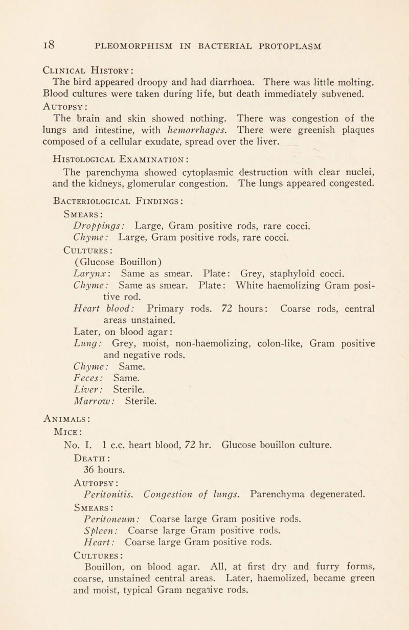 Clinical History: The bird appeared droopy and had diarrhoea. There was little molting. Blood cultures were taken during life, but death immediately subvened. Autopsy : The brain and skin showed nothing. There was congestion of the lungs and intestine, with hemorrhages. There were greenish plaques composed of a cellular exudate, spread over the liver. Histological Examination : The parenchyma showed cytoplasmic destruction with clear nuclei, and the kidneys, glomerular congestion. The lungs appeared congested. Bacteriological Findings: Smears : Droppings: Large, Gram positive rods, rare cocci. Chyme: Large, Gram positive rods, rare cocci. Cultures : (Glucose Bouillon) Larynx: Same as smear. Plate: Grey, staphyloid cocci. Chyme: Same as smear. Plate: White haemolizing Gram posi¬ tive rod. Heart blood: Primary rods. 72 hours: Coarse rods, central areas unstained. Later, on blood agar: Lung: Grey, moist, non-haemolizing, colon-like, Gram positive and negative rods. Chyme: Same. Feces: Same. Liver: Sterile. Marrozv: Sterile. Animals : Mice : No. I. 1 c.c. heart blood, 72 hr. Glucose bouillon culture. Death : 36 hours. Autopsy : Peritonitis. Congestion of lungs. Parenchyma degenerated. Smears : Peritoneum: Coarse large Gram positive rods. Spleen: Coarse large Gram positive rods. Heart: Coarse large Gram positive rods. Cultures : Bouillon, on blood agar. All, at first dry and furry forms, coarse, unstained central areas. Later, haemolized, became green and moist, typical Gram negative rods.