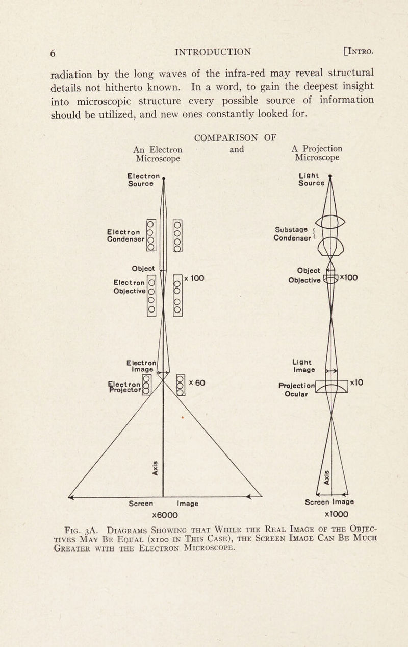 radiation by the long waves of the infra-red may reveal structural details not hitherto known. In a word, to gain the deepest insight into microscopic structure every possible source of information should be utilized, and new ones constantly looked for. COMPARISON OF An Electron and Microscope A Projection Microscope Fig. 3A. Diagrams Showing that While the Real Image of the Objec- tives May Be Equal (xioo in This Case), the Screen Image Can Be Much Greater with the Electron Microscope.