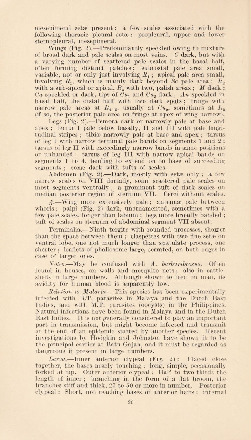 niesepimeral setae present; a few scales associated with the following thoracic pleural setae : propleural, upper and lower sternopleural, niesepimeral. Wings (Fig. 2).—Predominantly speckled owing to mixture of broad dark and pale scales on most veins. G dark, but with a varying number of scattered pale scales in the basal half, often forming distinct patches ; subcostal pale area small, variable, not or only just involving B± ; apical pale area small, involving B±, which is mainly dark beyond Sc pale area ; B2 with a sub-apical or apical, B3 with two, palish areas ; M dark ; Cu speckled or dark, tips of Cul and Cu2 dark ; An speckled in basal half, the distal half with two dark spots ; fringe with narrow pale areas at JR4+5, usually at Cu2, sometimes at B2 (if so, the posterior pale area on fringe at apex of wing narrow). Legs (Fig. 2).—Femora dark or narrowly pale at base and apex ; femur I pale below basally, II and III with pale longi¬ tudinal stripes ; tibia4 narrowly pale at base and apex ; tarsus of leg I with narrow terminal pale bands on segments 1 and 2 ; tarsus of leg II with exceedingly narrow bands in same positions or unbanded ; tarsus of leg III with narrow apical bands on segments 1 to 4, tending to extend on to base of succeeding segments ; coxae dark with tufts of scales. Abdomen (Fig. 2).—Dark, mostly with setae only ; a few narrow scales on VIII dorsally, some scattered pale scales on most segments ventrally ; a prominent tuft of dark scales on median posterior region of sternum VII. Cerei without scales. <$.—Wing more extensively pale ; antennae pale between whorls ; palpi (Fig. 2) dark, unornamented, sometimes with a few pale scales, longer than labium ; legs more broadly banded ; tuft of scales on sternum of abdominal segment VII absent. Terminalia.—Ninth tergite with rounded processes, shower than the space between them ; claspettes with two fine setae on ventral lobe, one not much longer than spatulate process, one shorter ; leaflets of phallosome large, serrated, on both edges in case of larger ones. Notes.—May be confused with A. barbumbrosus. Often found in houses, on walls and mosquito nets ; also in cattle- sheds in large numbers. Although shown to feed on man, its avidity for human blood is apparently low. Belation to Malaria.—This species has been experimentally infected with B.T. parasites in Malaya and the Dutch East Indies, and with M.T. parasites (oocysts) in the Philippines. Natural infections have been found in Malaya and in the Dutch East Indies. It is not generally considered to play an important part in transmission, but might become infected and transmit at the end of an epidemic started by another species. Recent investigations by Hodgkin and Johnston have shown it to be the principal carrier at Batu Gajah, and it must be regarded as dangerous if present in large numbers. Larva.—Inner anterior clypeal (Fig. 2) : Placed close together, the bases nearly touching ; long, simple, occasionally forked at tip. Outer anterior clypeal: Half to two-thirds the length of inner ; branching in the form of a flat broom, the branches stiff and thick, 27 to 50 or more in number. Posterior clypeal : Short, not reaching bases of anterior hairs ; internal