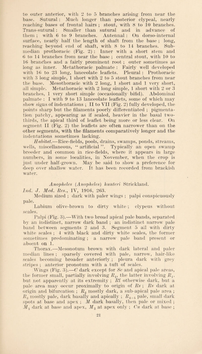 to outer anterior, with 2 to 5 branches arising from near the base. Sutural: Much longer than posterior clypeal, nearly reaching bases of frontal hairs ; stout, with 8 to 10 branches. Trans-sutural : Smaller than sutural and in advance of them ; with 6 to 9 branches. Antennal: On dorso-internal surface, nearly half the length of shaft from the base ; long, reaching beyond end of shaft, with 8 to 14 branches. Sub- median pro thoracic (Fig. 2) : Inner with a short stem and 6 to 14 branches from near the base ; central stout, with 10 to 16 brandies and a fairly prominent root ; outer sometimes as long as inner. Metathoracic palmate : Fairly well developed with 16 to 23 long, lanceolate leaflets. Pleural: Prothoracic with 3 long simple, 1 short with 2 to 5 stout branches from near the base. Mesothoracic with 2 long, 1 short and 1 very short, all simple. Metathoracic with 2 long simple, 1 short with 2 or 3 branches, 1 very short simple (occasionally bifid). Abdominal palmate : I with 9 to 13 lanceolate leaflets, some of which may show signs of indentations ; II to VII (Fig. 2) fully developed, the points sharp but the filaments poorly differentiated ; pigmenta¬ tion patchy, appearing as if scaled, heavier in the basal two- thirds, the apical third of leaflet being more or less clear. On segment II (Fig. 2) the leaflets are often narrower than on the other segments, with the filaments comparatively longer and the indentations sometimes lacking. Habitat.—Pice-fields, pools, drains, swamps, ponds, streams, wells, miscellaneous, u artificial A Typically an open swamp breeder and common in rice-fields, where it appears in large numbers, in some localities, in November, when the crop is just under half-grown. May be said to show a preference for deep over shallow water. It has been recorded from brackish water. AnojRieles (Anopheles) hunteri Strickland. Ind. J. Med. Res., IY, 1946, 263. Medium sized ; dark with paler wings ; palpi conspicuously pale. Labium olive-brown to dirty white ; clypeus without scales. Palpi (Fig. 3).—With two broad apical pale bands, separated by an indistinct, narrow dark band ; an indistinct narrow pale band between segments 2 and 3. Segment 5 ail with dirty white scales ; 4 with black and dirty white scales, the former sometimes predominating; a narrow pale band present or absent on 1. Thorax.—Mesonotum brown with dark lateral and paler median lines ; sparsely covered with pale, narrow, hair-like scales becoming broader anteriorly ; pleura dark with grey stripes ; anterior pronotum with a tuft of scales. Wings (Fig. 3).—C dark except for Sc and apical pale areas, the former small, partially involving Rx, the latter involving Rv but not apparently at its extremity ; Rf otherwise dark, but a pale area may occur proximally to origin of Rs ; Rs dark at origin and bifurcation ; R2 mostly dark, a sub-apical pale area ; R3 mostly pale, dark basally and apicall.y ; i?4+5 pale, small dark spots at base and apex ; M dark basally, then pale or mixed ; M j dark at base and apex, M2 at apex only ; Cu dark at base ;