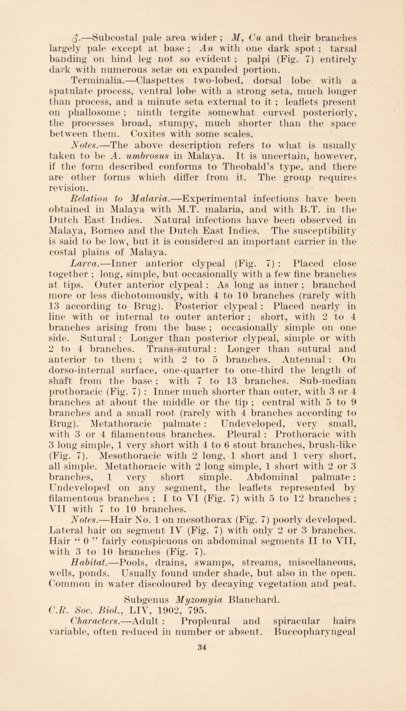 —Subcostal pale area wider ; M, 6% and tlieir branches largely pale except at base ; An with one dark spot ; tarsal banding on hind leg not so evident ; palpi (Fig. 7) entirely dark with numerous setae on expanded portion. Terminalia.—Claspettes two-lobed, dorsal lobe with a spatulate process, ventral lobe with a strong seta, much longer than process, and a minute seta external to it ; leaflets present on phallosome; ninth tergite somewhat curved posteriorly, the processes broad, stumpy, much shorter than the space between them. Coxites with some scales. Notes.—The above description refers to what is usually taken to be A. umbrosus in Malaya. It is uncertain, however, if the form described conforms to Theobald’s type, and there are other forms which differ from it. The group requires revision. Relation to Malaria.—Experimental infections have been obtained in Malaya with M.T. malaria, and with B.T. in the Dutch East Indies. Natural infections have been observed in Malaya, Borneo and the Dutch East Indies. The susceptibility is said to be low, but it is considered an important carrier in the costal plains of Malaya. Larva.—Inner anterior clypeal (Fig. 7) : Placed close together ; long, simple, but occasionally with a few fine branches at tips. Outer anterior clypeal: As long as inner ; branched more or less dichotomously, with 4 to 10 branches (rarely with 13 according to Brug). Posterior clypeal : Placed nearly in line with or internal to outer anterior ; short, with 2 to 4 branches arising from the base ; occasionally simple on one side. Sutural: Longer than posterior clypeal, simple or with 2 to 4 branches. Trans-sutural : Longer than sutural and anterior to them ; with 2 to 5 branches. Antennal : On dorso-internal surface, one-quarter to one-third the length of shaft from the base ; with 7 to 13 branches. Sub-median prothoracic (Fig. 7) : Inner much shorter than outer, with 3 or 4 branches at about the middle or the tip ; central with 5 to 9 branches and a small root (rarely with 4 branches according to Brug). Metathoracic palmate : Undeveloped, very small, with 3 or 4 filamentous branches. Pleural : Prothoracic with 3 long simple, 1 very short with 4 to 6 stout branches, brush-like (Fig. 7). Mesothoracic with 2 long, 1 short and 1 very short, all simple. Metathoracic with 2 long simple, 1 short with 2 or 3 branches, 1 very short simple. Abdominal palmate: Undeveloped on any segment, the leaflets represented by filamentous branches ; I to VI (Fig. 7) with 5 to 12 branches ; VII with 7 to 10 branches. Notes.—Hair No. 1 on mesothorax (Fig. 7) poorly developed. Lateral hair on segment IV (Fig. 7) with only 2 or 3 branches. Hair “ 0 ” fairly conspicuous on abdominal segments II to VII, with 3 to 10 branches (Fig. 7). Habitat.—Pools, drains, swamps, streams, miscellaneous, wells, ponds. Usually found under shade, but also in the open. Common in water discoloured by decaying vegetation and peat. Subgenus Myzomyia Blanchard. C.R. Soc. Biol., LIV, 1902, 795. Characters.—Adult : Propleural and spiracular hairs variable, often reduced in number or absent. Buccopharyngeal