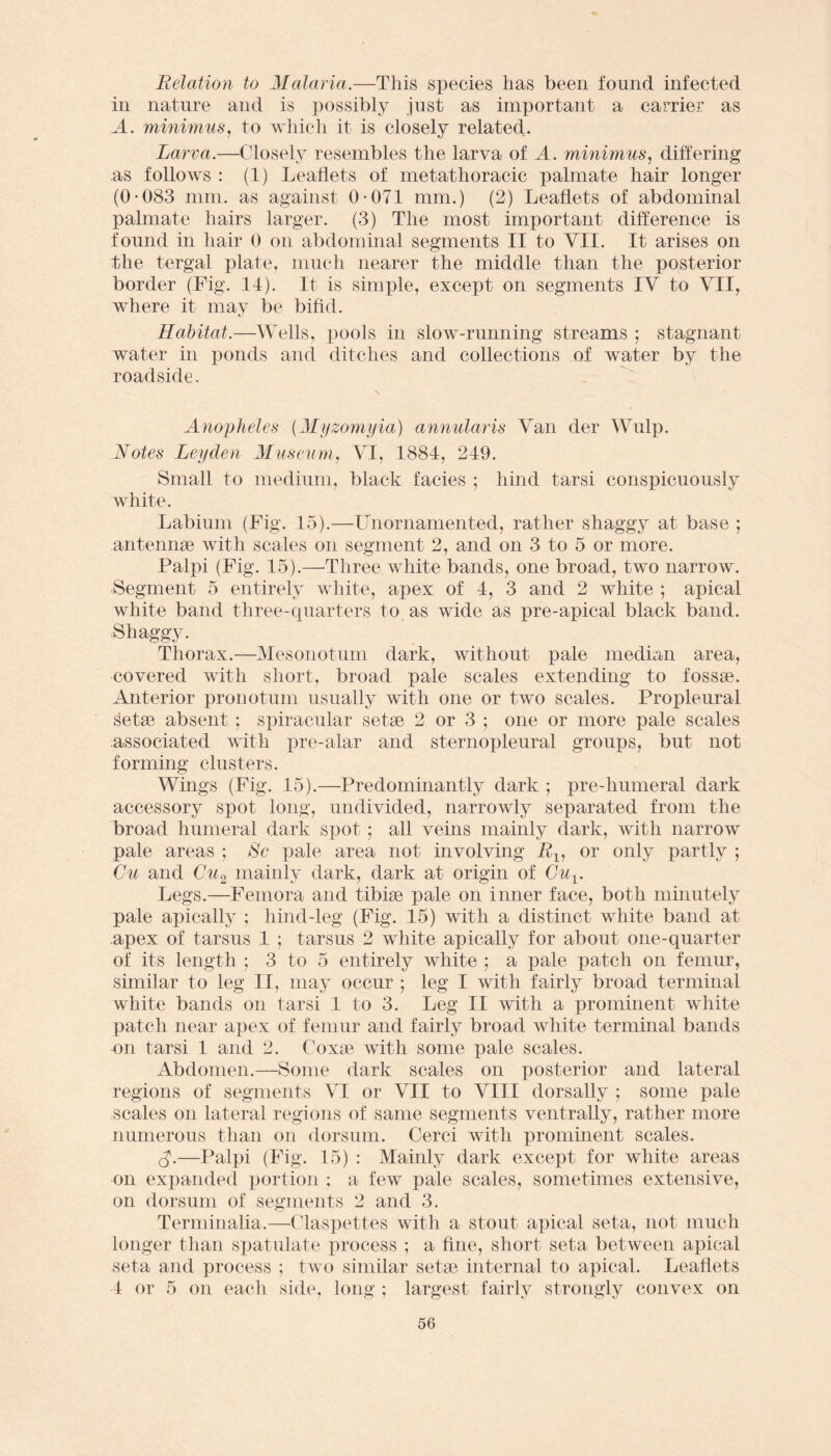 Relation to Malaria.—This species has been found infected in nature and is possibly just as important a carrier as A. minimus, to which it is closely related. Larva.—Closely resembles the larva of A. minimus, differing as follows : (1) Leaflets of metathoracic palmate hair longer (0-083 mm. as against 0-071 mm.) (2) Leaflets of abdominal palmate hairs larger. (3) The most important difference is found in hair 0 on abdominal segments II to VII. It arises on the tergal plate, much nearer the middle than the posterior border (Fig. 11). It is simple, except on segments IV to VII, where it may be bifid. ty Habitat.—Wells, pools in slow-running streams ; stagnant water in ponds and ditches and collections of water by the roadside. Anopheles (Myzomyia) annularis Van der Wulp. Notes Leyden Museum, VI, 1884, 249. Small to medium, black facies ; hind tarsi conspicuously white. Labium (Fig. 15).—Unornamented, rather shaggy at base ; antennae with scales on segment 2, and on 3 to 5 or more. Palpi (Fig. 15).—Three white bands, one broad, two narrow. Segment 5 entirely white, apex of 4, 3 and 2 white ; apical white band three-quarters to as wide as pre-apical black band. Shaggy. Thorax.—Mesonotuni dark, without pale median area, covered with short, broad pale scales extending to fossae. Anterior pronotum usually with one or two scales. Propleural setae absent ; spiracular setae 2 or 3 ; one or more pale scales associated with pre-alar and sternopleural groups, but not forming clusters. Wings (Fig. 15).—Predominantly dark ; pre-humeral dark accessory spot long, undivided, narrowly separated from the broad humeral dark spot; all veins mainly dark, with narrow pale areas ; Sc pale area not involving Rt, or only partly ; Gu and Cu2 mainly dark, dark at origin of Guv Legs.—Femora and tibiae pale on inner face, both minutely pale apically ; hind-leg (Fig. 15) with a distinct white band at apex of tarsus 1 ; tarsus 2 white apically for about one-quarter of its length ; 3 to 5 entirely white ; a pale patch on femur, similar to leg II, may occur ; leg I with fairly broad terminal white bands on tarsi 1 to 3. Leg II with a prominent white patch near apex of femur and fairly broad white terminal bands on tarsi 1 and 2. Coxae with some pale scales. Abdomen.—Some dark scales on posterior and lateral regions of segments VI or VII to VIII dorsally ; some pale scales on lateral regions of same segments ventrally, rather more numerous than on dorsum. Cerci with prominent scales. cC—Palpi (Fig. 15) : Mainly dark except for white areas on expanded portion ; a few pale scales, sometimes extensive, on dorsum of segments 2 and 3. Terminalia.—Claspettes with a stout apical seta, not much longer than spatulate process ; a fine, short seta between apical seta and process ; two similar setae internal to apical. Leaflets -4 or 5 on each side, long ; largest fairly strongly convex on