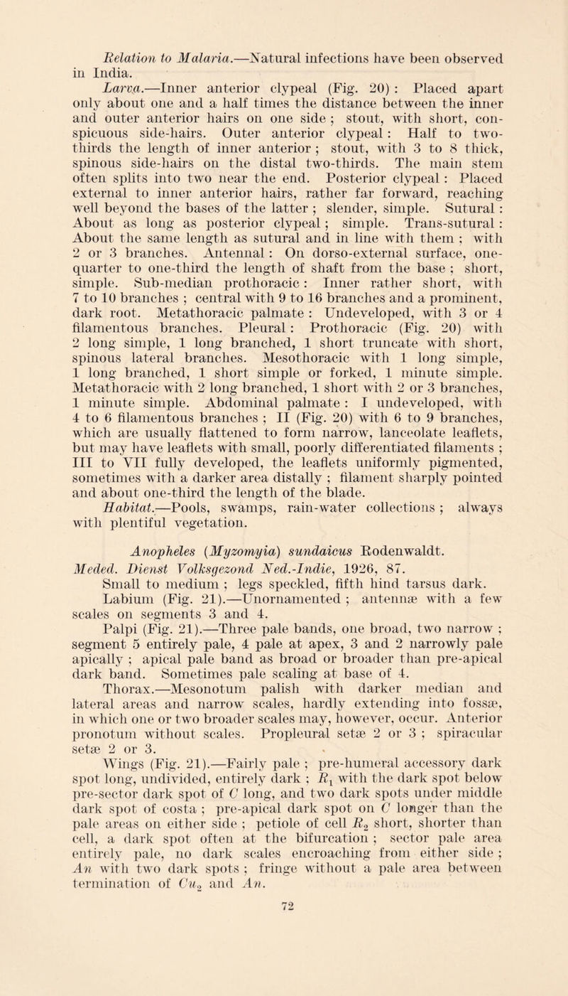 Relation to Malaria.—Natural infections have been observed in India. Larva.—Inner anterior elypeal (Fig. 20) : Placed apart only about one and a half times the distance between the inner and outer anterior hairs on one side ; stout, with short, con¬ spicuous side-hairs. Outer anterior elypeal: Half to two- thirds the length of inner anterior ; stout, with 3 to 8 thick, spinous side-hairs on the distal two-thirds. The main stem often splits into two near the end. Posterior elypeal: Placed external to inner anterior hairs, rather far forward, reaching well beyond the bases of the latter ; slender, simple. Sutural: About as long as posterior elypeal; simple. Trans-sutural : About the same length as sutural and in line with them ; with 2 or 3 branches. Antennal: On dorso-external surface, one- quarter to one-third the length of shaft from the base ; short, simple. Sub-median prothoracic: Inner rather short, with 7 to 10 branches ; central with 9 to 16 branches and a prominent, dark root. Metathoracic palmate : Undeveloped, with 3 or 4 filamentous branches. Pleural: Prothoracic (Fig. 20) with 2 long simple, 1 long branched, 1 short truncate with short, spinous lateral branches. Mesothoracic with 1 long simple, 1 long branched, 1 short simple or forked, 1 minute simple. Metathoracic with 2 long branched, 1 short with 2 or 3 branches, 1 minute simple. Abdominal palmate : I undeveloped, with 4 to 6 filamentous branches ; II (Fig. 20) with 6 to 9 branches, which are usually flattened to form narrow, lanceolate leaflets, but may have leaflets with small, poorly differentiated filaments ; III to YII fully developed, the leaflets uniformly pigmented, sometimes with a darker area distally ; filament sharply pointed and about one-third the length of the blade. Habitat.—Pools, swamps, rain-water collections ; always with plentiful vegetation. Anopheles (Myzomyia) sundaicus Rodenwaldt. Meded. Dienst Volksgezond Red.-Indie, 4926, 87. Small to medium ; legs speckled, fifth hind tarsus dark. Labium (Fig. 21).—Unornamented ; antennae with a few scales on segments 3 and 4. Palpi (Fig. 21).—Three pale bands, one broad, two narrow ; segment 5 entirely pale, 4 pale at apex, 3 and 2 narrowly pale apically ; apical pale band as broad or broader than pre-apical dark band. Sometimes pale scaling at base of 4. Thorax.—Mesonotum palish with darker median and lateral areas and narrow scales, hardly extending into fossae, in which one or two broader scales may, however, occur. Anterior pronotum without scales. Propleural setae, 2 or 3; spiracular setae 2 or 3. Wings (Fig. 21).—Fairly pale ; pre-humeral accessory dark spot long, undivided, entirely dark ; Rl with the dark spot below pre-sector dark spot of C long, and two dark spots under middle dark spot of costa ; pre-apical dark spot on C longer than the pale areas on either side ; petiole of cell R2 short, shorter than cell, a dark spot often at the bifurcation ; sector pale area entirely pale, no dark scales encroaching from either side ; An with two dark spots ; fringe without a pale area between termination of Cu2 and An.