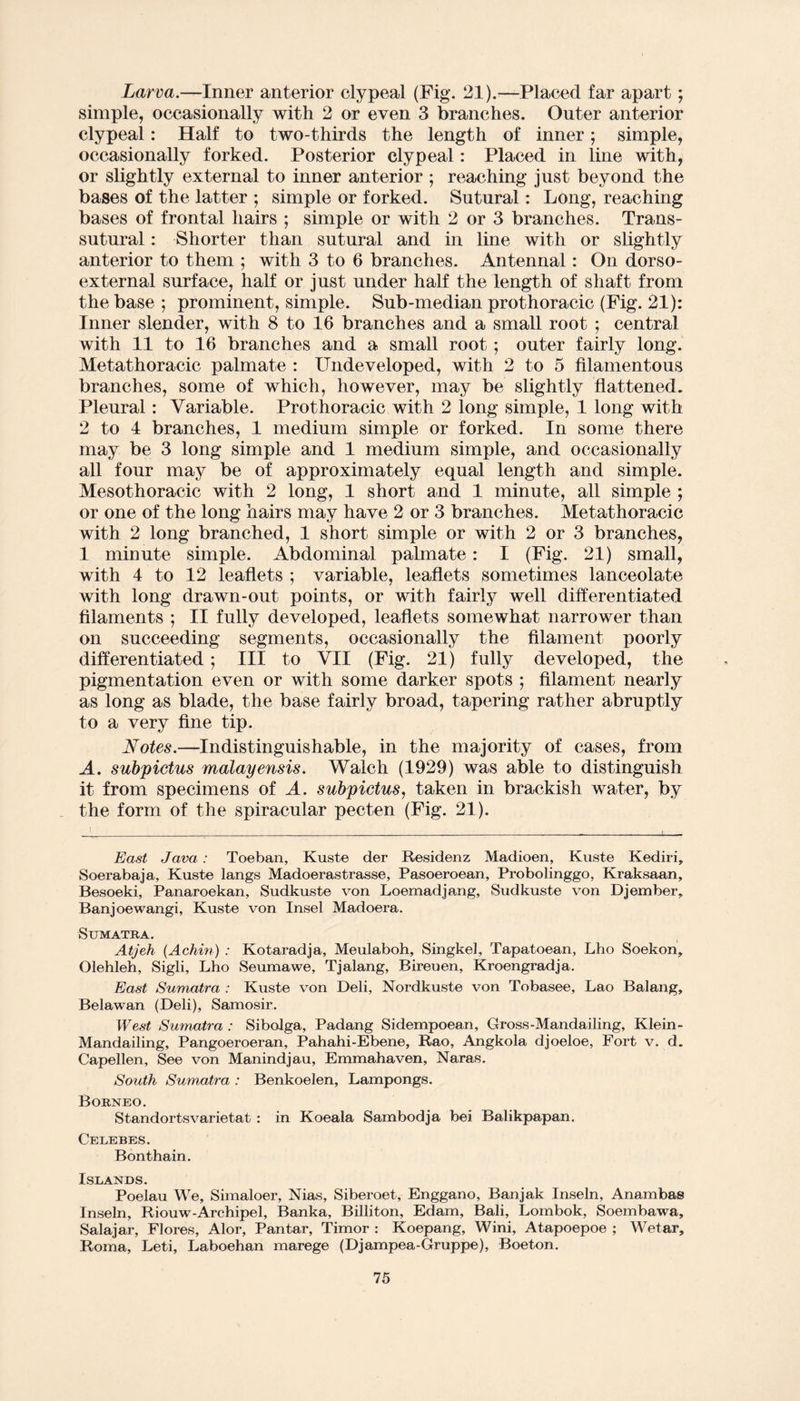 Larva.—Inner anterior clypeal (Fig. 21).—Placed far apart; simple, occasionally with 2 or even 3 branches. Outer anterior clypeal: Half to two-thirds the length of inner; simple, occasionally forked. Posterior clypeal: Placed in line with, or slightly external to inner anterior ; reaching just beyond the bases of the latter ; simple or forked. Sutural: Long, reaching bases of frontal hairs ; simple or with 2 or 3 branches. Trans- sutural: Shorter than sutural and in line with or slightly anterior to them ; with 3 to 6 branches. Antennal: On dorso- external surface, half or just under half the length of shaft from the base ; prominent, simple. Sub-median prothoracic (Fig. 21): Inner slender, with 8 to 16 branches and a small root ; central with 11 to 16 branches and a small root; outer fairly long. Metathoracic palmate : Undeveloped, with 2 to 5 filamentous branches, some of which, however, may be slightly flattened. Pleural: Variable. Prothoracic with 2 long simple, 1 long with 2 to 4 branches, 1 medium simple or forked. In some there may be 3 long simple and 1 medium simple, and occasionally all four may be of approximately equal length and simple. Mesothoracic with 2 long, 1 short and 1 minute, all simple ; or one of the long hairs may have 2 or 3 branches. Metathoracic with 2 long branched, 1 short simple or with 2 or 3 branches, 1 minute simple. Abdominal palmate: I (Fig. 21) small, with 4 to 12 leaflets ; variable, leaflets sometimes lanceolate with long drawn-out points, or with fairly well differentiated filaments ; II fully developed, leaflets somewhat narrower than on succeeding segments, occasionally the filament poorly differentiated; III to VII (Fig. 21) fully developed, the pigmentation even or with some darker spots ; filament nearly as long as blade, the base fairly broad, tapering rather abruptly to a very fine tip. Notes.—Indistinguishable, in the majority of cases, from A. subpictus malayensis. Walch (1929) was able to distinguish it from specimens of A. subpictus, taken in brackish water, by the form of the spiracular pecten (Fig. 21). East Java: Toeban, Kuste der Residenz Madioen, Kuste Kediri, Soerabaja, Kuste langs Madoerastrasse, Pasoeroean, Probolinggo, Kraksaan, Besoeki, Panaroekan, Sudkuste von Loemadjang, Sudkuste von Dj ember, Banjoewangi, Kuste von Insel Madoera. Sumatra. Atjeh (Achin') : Kotaradja, Meulaboh, Singkel, Tapatoean, Lho Soekon, Olehleh, Sigli, Lho Seumawe, Tjalang, Bireuen, Kroengradja. East Sumatra : Kuste von Deli, Nordkuste von Tobasee, Lao Balang, Belawan (Deli), Samosir. West Sumatra : Sibolga, Padang Sidempoean, Gross-Mandailing, Klein- Mandailing, Pangoeroeran, Pahahi-Ebene, Rao, Angkola djoeloe, Fort v. d. Capellen, See von Manindjau, Emmahaven, Naras. South Sumatra : Benkoelen, Lampongs. Borneo. Standortsvarietat : in Koeala Sambodja bei Balikpapan. Celebes. Bonthain. Islands. Poelau We, Simaloer, Nias, Siberoet, Enggano, Banjak Inseln, Anambas Inseln, Riouw-Archipel, Banka, Billiton, Edam, Bali, Lombok, Soembawa, Salajar, Flores, Alor, Pantar, Timor : Koepang, Wini, Atapoepoe ; Wetar, Roma, Leti, Laboehan marege (Djampea-Gruppe), Boeton.