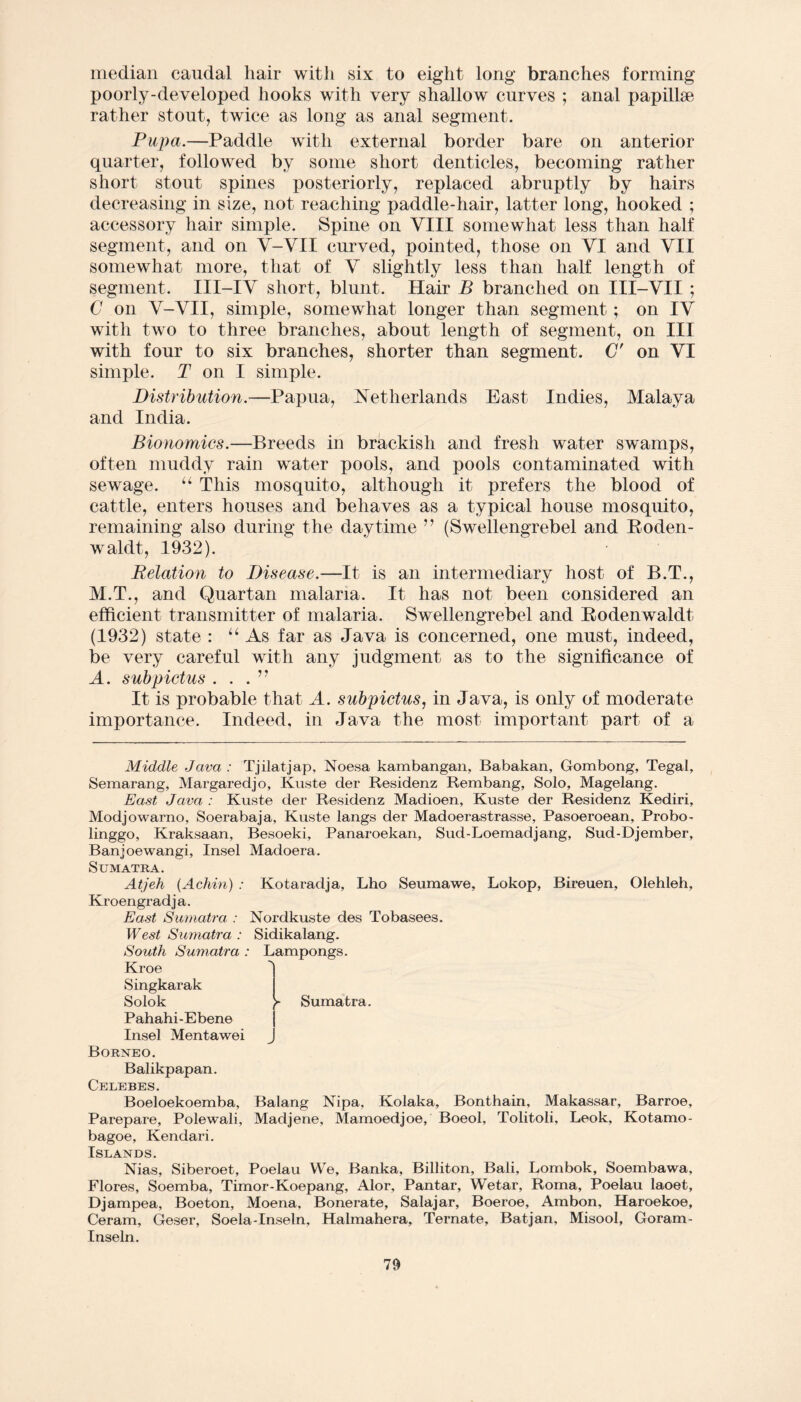 median caudal hair with six to eight long branches forming poorly-developed hooks with very shallow curves ; anal papillae rather stout, twice as long as anal segment. Pupa.—Paddle with external border bare on anterior quarter, followed by some short denticles, becoming rather short stout spines posteriorly, replaced abruptly by hairs decreasing in size, not reaching paddle-hair, latter long, hooked ; accessory hair simple. Spine on VIII somewhat less than half segment, and on V-VII curved, pointed, those on VI and VII somewhat more, that of V slightly less than half length of segment. III-IV short, blunt. Hair B branched on III-VII ; C on V-VII, simple, somewhat longer than segment; on IV with two to three branches, about length of segment, on III with four to six branches, shorter than segment. C' on VI simple. I on I simple. Distribution.—Papua, Netherlands East Indies, Malaya and India. Bionomics.—Breeds in brackish and fresh water swamps, often muddy rain water pools, and pools contaminated with sewage. “ This mosquito, although it prefers the blood of cattle, enters houses and behaves as a typical house mosquito, remaining also during the daytime ” (Swellengrebel and Boden- waldt, 1932). Relation to Disease.—It is an intermediary host of B.T., M.T., and Quartan malaria. It has not been considered an efficient transmitter of malaria. Swellengrebel and Bodenwaldt (1932) state : “ As far as Java is concerned, one must, indeed, be very careful with any judgment as to the significance of A. subpictus ...” It is probable that A. subpictus, in Java, is only of moderate importance. Indeed, in Java the most important part of a Middle Java : Tjilatjap, Noesa kambangan, Babakan, Gombong, Tegal, Semarang, Margaredjo, Kuste der Residenz Rembang, Solo, Magelang. East Java : Kuste der Residenz Madioen, Kuste der Residenz Kediri, Modjowarno, Soerabaja, Kuste langs der Madoerastrasse, Pasoeroean, Probo- linggo, Kraksaan, Besoeki, Panaroekan, Sud-Loemadjang, Sud-Djember, Banjoewangi, Insel Madoera. Sumatra. Atjeh (Achin) : Kroengradja. East Sumatra : West Sumatra : South Sumatra Kroe Singkarak Solok Pahahi-Ebene Insel Mentawei Borneo. Balikpapan. Celebes. Boeloekoemba, Parepare, Polewali, bagoe, Kendari. Islands. Kotaradja, Lho Seumawe, Lokop, Bireuen, Olehleh, Nordkuste des Tobasees. Sidikalang. Lampongs. >- Sumatra. J Balang Nipa, Kolaka, Bonthain, Makassar, Barroe, Madjene, Mamoedjoe, Boeol, Tolitoli, Leok, Kotamo- Nias, Siberoet, Poelau We, Banka, Billiton, Bali, Lombok, Soembawa, Flores, Soemba, Timor-Koepang, Alor, Pantar, Wetar, Roma, Poelau laoet, Djampea, Boeton, Moena, Bonerate, Salajar, Boeroe, Ambon, Haroekoe, Ceram, Geser, Soela-Inseln, Halmahera, Ternate, Bat jan, Misool, Goram- Inseln.