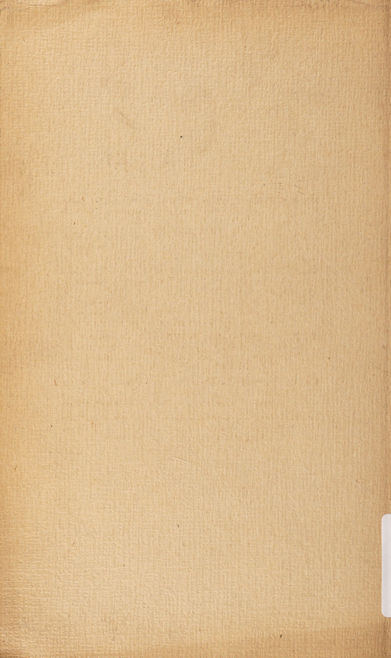 \ I Wk> Vv-* - I \ 'fc m N*M '*#. ■l.f. V