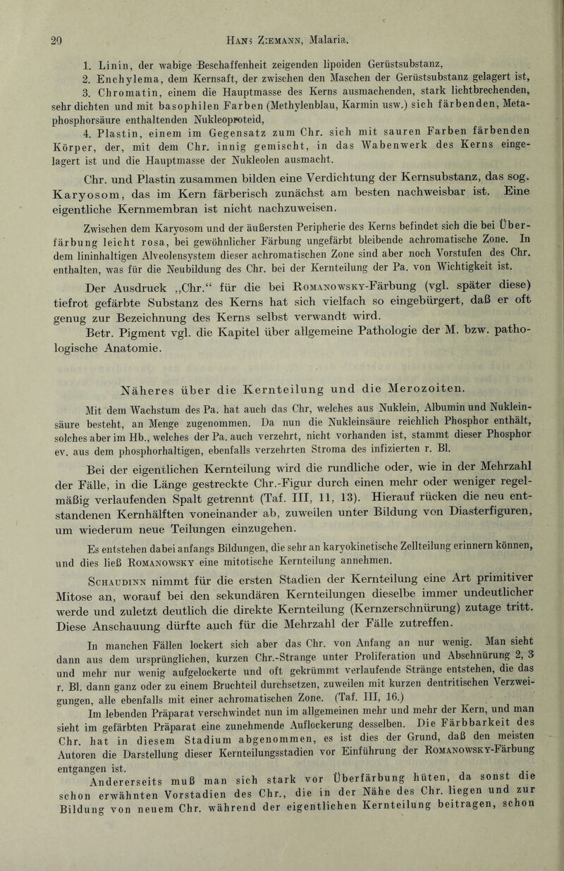 1. Linin, der wabige Beschaffenheit zeigenden lipoiden Gerüstsubstanz, 2. Enchylema, dem Kernsaft, der zwischen den Maschen der Gerüstsubstanz gelagert ist, 3. Chromatin, einem die Hauptmasse des Kerns ausmachenden, stark lichtbrechenden, sehr dichten und mit basophilen Farben (Methylenblau, Karmin usw.) sich färbenden, Meta¬ phosphorsäure enthaltenden Nukleoppoteid, 4. Plastin, einem im Gegensatz zum Chr. sich mit sauren Farben färbenden Körper, der, mit dem Chr. innig gemischt, in das Wabenwerk des Kerns einge¬ lagert ist und die Hauptmasse der Nukleolen ausmacht. Chr. und Plastin zusammen bilden eine Verdichtung der Kernsubstanz, das sog. Karyosom, das im Kern färberisch zunächst am besten nachweisbar ist. Eine eigentliche Kernmembran ist nicht nachzuweisen. Zwischen dem Karyosom und der äußersten Peripherie des Kerns befindet sich die bei Über¬ färbung leicht rosa, bei gewöhnlicher Färbung ungefärbt bleibende achromatische Zone. In dem lininhaltigen Alveolensystem dieser achromatischen Zone sind aber noch Vorstufen des Chr. enthalten, was für die Neubildung des Chr. bei der Kernteilung der Pa. von Wichtigkeit ist. Der Ausdruck „Chr.“ für die bei RoMANOwsKY-Färbung (vgl. später diese) tiefrot gefärbte Substanz des Kerns hat sich vielfach so eingebürgert, daß er oft genug zur Bezeichnung des Kerns selbst verwandt wird. Betr. Pigment vgl. die Kapitel über allgemeine Pathologie der M. bzw. patho¬ logische Anatomie. Näheres über die Kernteilung und die Merozoiten. Mit dem Wachstum des Pa. hat auch das Chr, welches aus Nuklein, Albumin und Nuklein¬ säure besteht, an Menge zugenommen. Da nun die Nukleinsäure reichlich Phosphor enthält, solches aber im Hb., welches der Pa. auch verzehrt, nicht vorhanden ist, stammt dieser Phosphor ev. aus dem phosphorhaltigen, ebenfalls verzehrten Stroma des infizierten r. Bl. Bei der eigentlichen Kernteilung wird die rundliche oder, wie in der Mehrzahl der Fälle, in die Länge gestreckte Chr.-Figur durch einen mehr oder weniger regel¬ mäßig verlaufenden Spalt getrennt (Taf. III, 11, 13). Hierauf rücken die neu ent¬ standenen Kernhälften voneinander ab, zuweilen unter Bildung von Diasterfiguren, um wiederum neue Teilungen einzugehen. Es entstehen dabei anfangs Bildungen, die sehr an karyokinetische Zellteilung erinnern können, und dies ließ Romanowsky eine mitotische Kernteilung annehmen. Schaudinn nimmt für die ersten Stadien der Kernteilung eine Art primitiver Mitose an, worauf bei den sekundären Kernteilungen dieselbe immer undeutlicher werde und zuletzt deutlich die direkte Kernteilung (Kernzerschnürung) zutage tritt. Diese Anschauung dürfte auch für die Mehrzahl der Fälle zutreffen. In manchen Fällen lockert sich aber das Chr. von Anfang an nur wenig. Man sieht dann aus dem ursprünglichen, kurzen Chr.-Strange unter Proliferation und Abschnürung 2, 3 und mehr nur wenig aufgelockerte und oft gekrümmt verlaufende Stränge entstehen, die das r. Bl. dann ganz oder zu einem Bruchteil durchsetzen, zuweilen mit kurzen dentritischen Verzwei¬ gungen, alle ebenfalls mit einer achromatischen Zone. (Taf. III, 16.) Im lebenden Präparat verschwindet nun im allgemeinen mehr und mehr der Kern, und man sieht im gefärbten Präparat eine zunehmende Auflockerung desselben. Die Färbbarkeit des Chr. hat in diesem Stadium abgenommen, es ist dies der Grund, daß den meisten Autoren die Darstellung dieser Kernteilungsstadien vor Einführung der RoMANOWSKY-Färbung entgangen ist. .. ,. Andererseits muß man sich stark vor Überfärbung hüten, da sonst le schon erwähnten Vorstadien des Chr., die in der Nähe des Chr. liegen und zur Bildung von neuem Chr. während der eigentlichen Kernteilung beitragen, schon