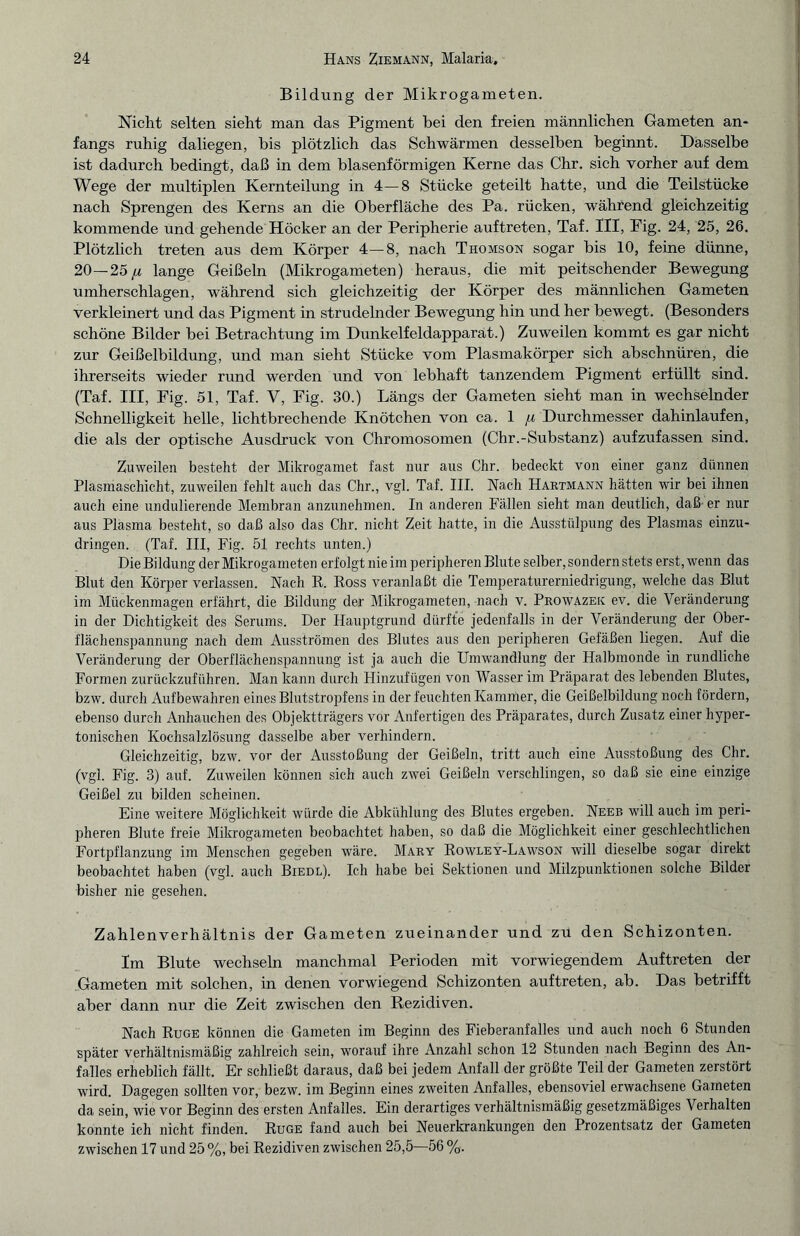Bildung der Mikrogameten. Nicht selten sieht man das Pigment bei den freien männlichen Gameten an¬ fangs ruhig daliegen, bis plötzlich das Schwärmen desselben beginnt. Dasselbe ist dadurch bedingt, daß in dem blasenförmigen Kerne das Chr. sich vorher auf dem Wege der multiplen Kernteilung in 4—8 Stücke geteilt hatte, und die Teilstücke nach Sprengen des Kerns an die Oberfläche des Pa. rücken, während gleichzeitig kommende und gehende Höcker an der Peripherie auftreten, Taf. III, Pig. 24, 25, 26. Plötzlich treten aus dem Körper 4—8, nach Thomson sogar bis 10, feine dünne, 20—25ju lange Geißeln (Mikrogameten) heraus, die mit peitschender Bewegung umherschlagen, während sich gleichzeitig der Körper des männlichen Gameten verkleinert und das Pigment in strudelnder Bewegung hin und her bewegt. (Besonders schöne Bilder bei Betrachtung im Dunkelfeldapparat.) Zuweilen kommt es gar nicht zur Geißelbildung, und man sieht Stücke vom Plasmakörper sich abschnüren, die ihrerseits wieder rund werden und von lebhaft tanzendem Pigment erfüllt sind. (Taf. III, Fig. 51, Taf. V, Fig. 30.) Längs der Gameten sieht man in wechselnder Schnelligkeit helle, lichtbrechende Knötchen von ca. 1 fi Durchmesser dahinlaufen, die als der optische Ausdruck von Chromosomen (Chr.-Substanz) aufzufassen sind. Zuweilen besteht der Mikrogamet fast nur aus Chr. bedeckt von einer ganz dünnen Plasmaschicht, zuweilen fehlt auch das Chr., vgl. Taf. III. Nach Hartmann hätten wir bei ihnen auch eine undulierende Membran anzunehmen. In anderen Fällen sieht man deutlich, daß- er nur aus Plasma besteht, so daß also das Chr. nicht Zeit hatte, in die Ausstülpung des Plasmas einzu¬ dringen. (Taf. III, Fig. 51 rechts unten.) Die Bildung der Mikrogameten erfolgt nie im peripheren Blute selber, sondern stets erst, wenn das Blut den Körper verlassen. Nach R. Ross veranlaßt die Temperaturerniedrigung, welche das Blut im Mückenmagen erfährt, die Bildung der Mikrogameten, nach v. Prowazek ev. die Veränderung in der Dichtigkeit des Serums. Der Hauptgrund dürfte jedenfalls in der Veränderung der Ober¬ flächenspannung nach dem Ausströmen des Blutes aus den peripheren Gefäßen liegen. Auf die Veränderung der Oberflächenspannung ist ja auch die Umwandlung der Halbmonde in rundliche Formen zurückzuführen. Man kann durch Hinzufügen von Wasser im Präparat des lebenden Blutes, bzw. durch Aufbewahren eines Blutstropfens in der feuchten Kammer, die Geißelbildung noch fördern, ebenso durch Anhauchen des Objektträgers vor Anfertigen des Präparates, durch Zusatz einer hyper¬ tonischen Kochsalzlösung dasselbe aber verhindern. Gleichzeitig, bzw. vor der Ausstoßung der Geißeln, tritt auch eine Ausstoßung des Chr. (vgl. Fig. 3) auf. Zuweilen können sich auch zwei Geißeln verschlingen, so daß sie eine einzige Geißel zu bilden scheinen. Eine weitere Möglichkeit würde die Abkühlung des Blutes ergeben. Neeb will auch im peri¬ pheren Blute freie Mikrogameten beobachtet haben, so daß die Möglichkeit einer geschlechtlichen Fortpflanzung im Menschen gegeben wäre. Mary Rowley-Lawson will dieselbe sogar direkt beobachtet haben (vgl. auch Biedl). Ich habe bei Sektionen und Milzpunktionen solche Bilder bisher nie gesehen. Zahlenverhältnis der Gameten zueinander und zu den Schizonten. Im Blute wechseln manchmal Perioden mit vorwiegendem Auftreten der Gameten mit solchen, in denen vorwiegend Schizonten auftreten, ab. Das betrifft aber dann nur die Zeit zwischen den Rezidiven. Nach Rüge können die Gameten im Beginn des Fieberanfalles und auch noch 6 Stunden später verhältnismäßig zahlreich sein, worauf ihre Anzahl schon 12 Stunden nach Beginn des An¬ falles erheblich fällt. Er schließt daraus, daß bei jedem Anfall der größte Teil der Gameten zerstört wird. Dagegen sollten vor, bezw. im Beginn eines zweiten Anfalles, ebensoviel erwachsene Gameten da sein, wie vor Beginn des ersten Anfalles. Ein derartiges verhältnismäßig gesetzmäßiges Verhalten konnte ich nicht finden. Rüge fand auch bei Neuerkrankungen den Prozentsatz der Gameten zwischen 17 und 25 %, bei Rezidiven zwischen 25,5—56 %.