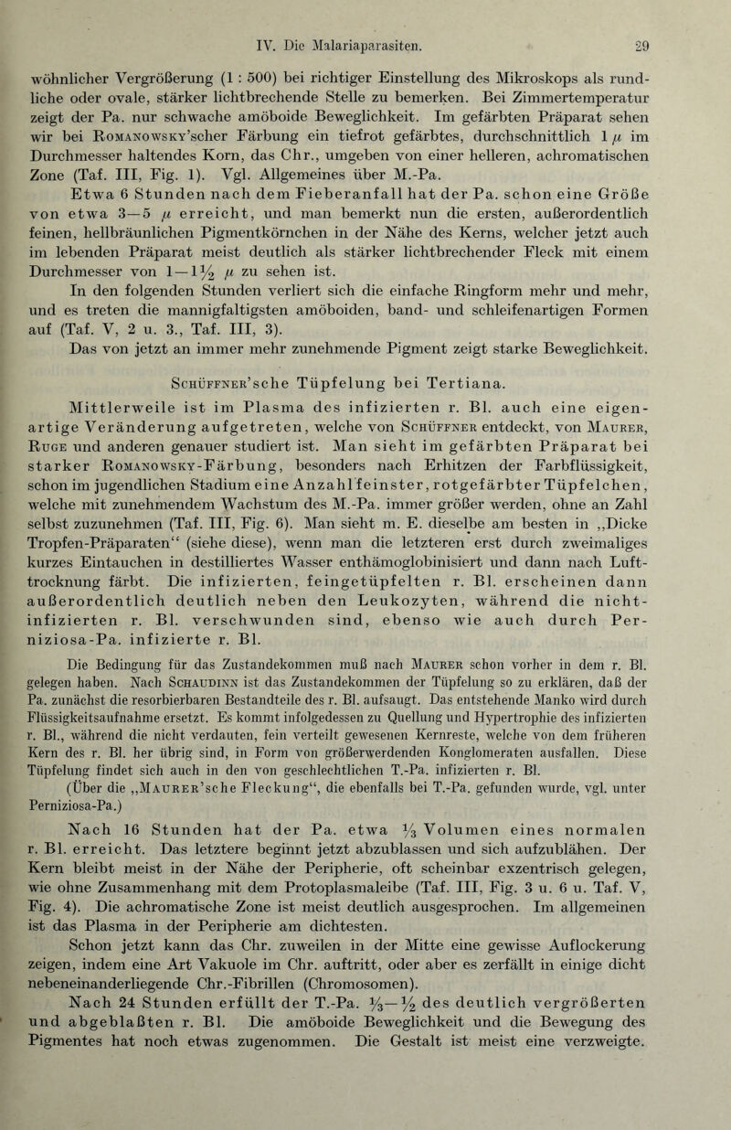 wohnlicher Vergrößerung (1 : 500) bei richtiger Einstellung des Mikroskops als rund¬ liche oder ovale, stärker lichtbrechende Stelle zu bemerken. Bei Zimmertemperatur zeigt der Pa. nur schwache amöboide Beweglichkeit. Im gefärbten Präparat sehen wir bei RoMANowsKY’scher Färbung ein tiefrot gefärbtes, durchschnittlich 1 /j, im Durchmesser haltendes Korn, das Chr., umgeben von einer helleren, achromatischen Zone (Taf. III, Fig. 1). Vgl. Allgemeines über M.-Pa. Etwa 6 Stunden nach dem Fieberanfall hat der Pa. schon eine Größe von etwa 3—5 ju erreicht, und man bemerkt nun die ersten, außerordentlich feinen, hellbräunlichen Pigmentkörnchen in der Nähe des Kerns, welcher jetzt auch im lebenden Präparat meist deutlich als stärker lichtbrechender Fleck mit einem Durchmesser von 1 — 1 % f* zu sehen ist. In den folgenden Stunden verliert sich die einfache Ringform mehr und mehr, und es treten die mannigfaltigsten amöboiden, band- und schleifenartigen Formen auf (Taf. V, 2 u. 3., Taf. III, 3). Das von jetzt an immer mehr zunehmende Pigment zeigt starke Beweglichkeit. Schüffner’sehe Tüpfelung bei Tertiana. Mittlerweile ist im Plasma des infizierten r. Bl. auch eine eigen¬ artige Veränderung auf getreten, welche von Schüffner entdeckt, von Maurer, Rüge und anderen genauer studiert ist. Man sieht im gefärbten Präparat bei starker RoMANOWSKY-Färbung, besonders nach Erhitzen der Farbflüssigkeit, schon im jugendlichen Stadium eine Anzahl feinster, rotgefärbter Tüpfelchen, welche mit zunehmendem Wachstum des M.-Pa. immer größer werden, ohne an Zahl selbst zuzunehmen (Taf. III, Fig. 6). Man sieht m. E. dieselbe am besten in ,,Dicke Tropfen-Präparaten“ (siehe diese), wenn man die letzteren erst durch zweimaliges kurzes Eintauchen in destilliertes Wasser enthämoglobinisiert und dann nach Luft¬ trocknung färbt. Die infizierten, feingetüpfelten r. Bl. erscheinen dann außerordentlich deutlich neben den Leukozyten, während die nicht- infizierten r. Bl. verschwunden sind, ebenso wie auch durch Per- niziosa-Pa. infizierte r. Bl. Die Bedingung für das Zustandekommen muß nach Maurer schon vorher in dem r. Bl. gelegen haben. Nach Schaudinn ist das Zustandekommen der Tüpfelung so zu erklären, daß der Pa. zunächst die resorbierbaren Bestandteile des r. Bl. aufsaugt. Das entstehende Manko wird durch Flüssigkeitsaufnahme ersetzt. Es kommt infolgedessen zu Quellung und Hypertrophie des infizierten r. Bl., während die nicht verdauten, fein verteilt gewesenen Kernreste, welche von dem früheren Kern des r. Bl. her übrig sind, in Form von größerwerdenden Konglomeraten ausfallen. Diese Tüpfelung findet sich auch in den von geschlechtlichen T.-Pa. infizierten r. Bl. (Über die „MAURER’sche Fleckung“, die ebenfalls bei T.-Pa. gefunden wurde, vgl. unter Perniziosa-Pa.) Nach 16 Stunden hat der Pa. etwa % Volumen eines normalen r. Bl. erreicht. Das letztere beginnt jetzt abzublassen und sich aufzublähen. Der Kern bleibt meist in der Nähe der Peripherie, oft scheinbar exzentrisch gelegen, wie ohne Zusammenhang mit dem Protoplasmaleibe (Taf. III, Fig. 3 u. 6 u. Taf. V, Fig. 4). Die achromatische Zone ist meist deutlich ausgesprochen. Im allgemeinen ist das Plasma in der Peripherie am dichtesten. Schon jetzt kann das Chr. zuweilen in der Mitte eine gewisse Auflockerung zeigen, indem eine Art Vakuole im Chr. auftritt, oder aber es zerfällt in einige dicht nebeneinanderliegende Chr.-Fibrillen (Chromosomen). Nach 24 Stunden erfüllt der T.-Pa. y3— % des deutlich vergrößerten und abgeblaßten r. Bl. Die amöboide Beweglichkeit und die Bewegung des Pigmentes hat noch etwas zugenommen. Die Gestalt ist meist eine verzweigte.