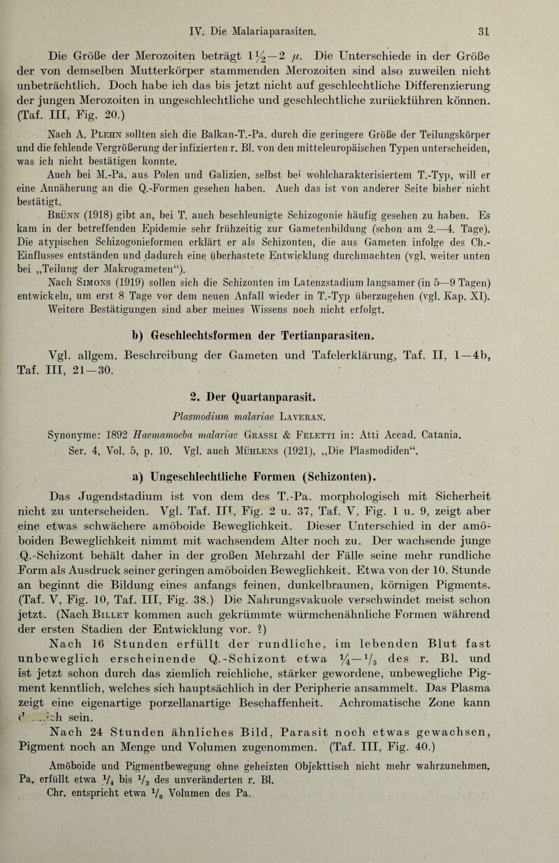 Die Größe der Merozoiten beträgt 1% —2 ju. Die Unterschiede in der Größe der von demselben Mutterkörper stammenden Merozoiten sind also zuweilen nicht unbeträchtlich. Doch habe ich das bis jetzt nicht auf geschlechtliche Differenzierung der jungen Merozoiten in ungeschlechtliche und geschlechtliche zurückführen können. (Taf. HI, Fig. 20.) Nach A. Plehn sollten sich die Balkan-T.-Pa. durch die geringere Größe der Teilungskörper und die fehlende Vergrößerung der infizierten r. Bl. von den mitteleuropäischen Typen unterscheiden, was ich nicht bestätigen konnte. Auch bei M.-Pa. aus Polen und Galizien, selbst bei wohlcharakterisiertem T.-Typ, will er eine Annäherung an die Q.-Formen gesehen haben. Auch das ist von anderer Seite bisher nicht bestätigt. Brünn (1918) gibt an, bei T. auch beschleunigte Schizogonie häufig gesehen zu haben. Es kam in der betreffenden Epidemie sehr frühzeitig zur Gametenbildung (schon am 2.—4. Tage). Die atypischen Schizogonieformen erklärt er als Schizonten, die aus Gameten infolge des Ch.- Einflusses entständen und dadurch eine überhastete Entwicklung durchmachten (vgl. weiter unten bei „Teilung der Makrogameten“). Nach Simons (1919) sollen sich die Schizonten im Latenzstadium langsamer (in 5—9 Tagen) entwickeln, um erst 8 Tage vor dem neuen Anfall wieder in T.-Typ überzugehen (vgl. Kap. XI). Weitere Bestätigungen sind aber meines Wissens noch nicht erfolgt. b) Geschleclitsformen der Tertianparasiten. Vgl. allgem. Beschreibung der Gameten und Tafelerkläiung, Taf. II, 1 —4b, Taf. III, 21 — 30. 2. Der Quartanparasit. Plasmodium malariae Laveran. Synonyme: 1892 Haemamoeba malariae Grassi & Feletti in: Atti Accad. Catania. Ser. 4, Vol. 5, p. 10. Vgl. auch Mühlens (1921), „Die Plasmodiden“. a) Ungeschlechtliche Formen (Schizonten). Das Jugendstadium ist von dem des T.-Pa. morphologisch mit Sicherheit nicht zu unterscheiden. Vgl. Taf. ITT, Fig. 2 u. 37, Taf. V, Fig. 1 u. 9, zeigt aber eine etwas schwächere amöboide Beweglichkeit. Dieser Unterschied in der amö¬ boiden Beweglichkeit nimmt mit wachsendem Alter noch zu. Der wachsende junge Q.-Schizont behält daher in der großen Mehrzahl der Fälle seine mehr rundliche Form als Ausdruck seiner geringen amöboiden Beweglichkeit. Etwa von der 10. Stunde an beginnt die Bildung eines anfangs feinen, dunkelbraunen, körnigen Pigments. (Taf. V, Fig. 10, Taf. III, Fig. 38.) Die Nahrungsvakuole verschwindet meist schon jetzt. (Nach Billet kommen auch gekrümmte würmchenähnliche Formen während der ersten Stadien der Entwicklung vor. ?) Nach 16 Stunden erfüllt der rundliche, im lebenden Blut fast unbeweglich erscheinende Q.-Schizont etwa %— x/5 des r. Bl. und ist jetzt schon durch das ziemlich reichliche, stärker gewordene, unbewegliche Pig¬ ment kenntlich, welches sich hauptsächlich in der Peripherie ansammelt. Das Plasma zeigt eine eigenartige porzellanartige Beschaffenheit. Achromatische Zone kann d Ach sein. Nach 24 Stunden ähnliches Bild, Parasit noch etwas gewachsen, Pigment noch an Menge und Volumen zugenommen. (Taf. III, Fig. 40.) Amöboide und Pigmentbewegung ohne geheizten Objekttisch nicht mehr wahrzunehmen. Pa. erfüllt etwa 1/i bis 1/3 des unveränderten r. Bl. Chr. entspricht etwa x/8 Volumen des Pa.