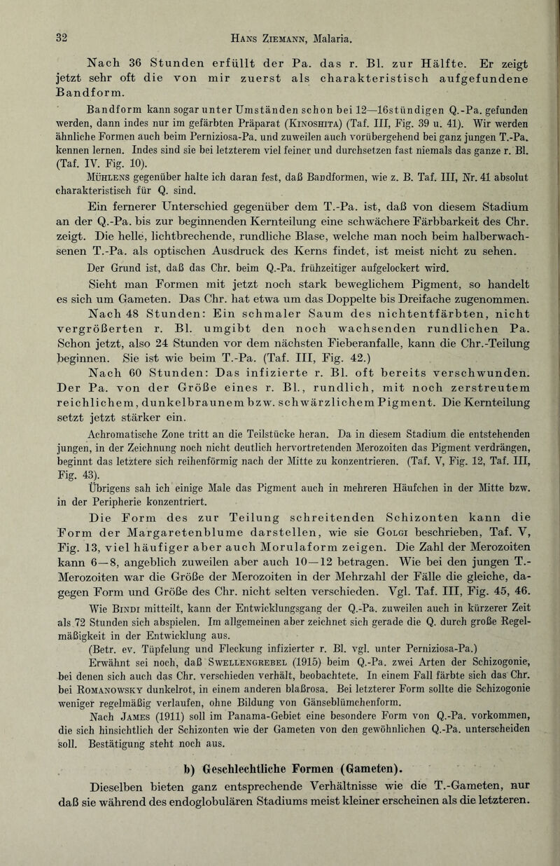Nach 36 Stunden erfüllt der Pa. das r. Bl. zur Hälfte. Er zeigt jetzt sehr oft die von mir zuerst als charakteristisch aufgefundene Bandform. Bandform kann sogar unter Umständen schon bei 12—16stündigen Q.-Pa. gefunden werden, dann indes nur im gefärbten Präparat (Kinoshita) (Taf. III, Fig. 39 u. 41). Wir werden ähnliche Formen auch beim Perniziosa-Pa. und zuweilen auch vorübergehend bei ganz jungen T.-Pa. kennen lernen. Indes sind sie bei letzterem viel feiner und durchsetzen fast niemals das ganze r. Bl. (Taf. IV. Fig. 10). Mühlens gegenüber halte ich daran fest, daß Bandformen, wie z. B. Taf. III, Nr. 41 absolut charakteristisch für Q. sind. Ein fernerer Unterschied gegenüber dem T.-Pa. ist, daß von diesem Stadium an der Q.-Pa. bis zur beginnenden Kernteilung eine schwächere Färbbarkeit des Chr. zeigt. Die helle, lichtbrechende, rundliche Blase, welche man noch beim halberwach¬ senen T.-Pa. als optischen Ausdruck des Kerns findet, ist meist nicht zu sehen. Der Grund ist, daß das Chr. beim Q.-Pa. frühzeitiger aufgelockert wird. Sieht man Formen mit jetzt noch stark beweglichem Pigment, so handelt es sich um Gameten. Das Chr. hat etwa um das Doppelte bis Dreifache zugenommen. Nach 48 Stunden: Ein schmaler Saum des nichtentfärbten, nicht vergrößerten r. Bl. umgibt den noch wachsenden rundlichen Pa. Schon jetzt, also 24 Stunden vor dem nächsten Fieberanfalle, kann die Chr.-Teilung beginnen. Sie ist wie beim T.-Pa. (Taf. III, Fig. 42.) Nach 60 Stunden: Das infizierte r. Bl. oft bereits verschwunden. Der Pa. von der Größe eines r. Bl., rundlich, mit noch zerstreutem reichlichem, dunkelbraunem bzw. schwärzlichem Pigment. Die Kernteilung setzt jetzt stärker ein. Achromatische Zone tritt an die Teilstücke heran. Da in diesem Stadium die entstehenden jungen, in der Zeichnung noch nicht deutlich hervortretenden Merozoiten das Pigment verdrängen, beginnt das letztere sich reihenförmig nach der Mitte zu konzentrieren. (Taf. V, Fig. 12, Taf. III, Fig. 43). Übrigens sah ich einige Male das Pigment auch in mehreren Häufchen in der Mitte bzw. in der Peripherie konzentriert. Die Form des zur Teilung schreitenden Schizonten kann die Form der Margaretenblume darstellen, wie sie Golgi beschrieben, Taf. V, Fig. 13, viel häufiger aber auch Morulaform zeigen. Die Zahl der Merozoiten kann 6 — 8, angeblich zuweilen aber auch 10—12 betragen. Wie bei den jungen T.- Merozoiten war die Größe der Merozoiten in der Mehrzahl der Fälle die gleiche, da¬ gegen Form und Größe des Chr. nicht selten verschieden. Vgl. Taf. III, Fig. 45, 46. Wie Bindi mitteilt, kann der Entwicklungsgang der Q.-Pa. zuweilen auch in kürzerer Zeit als 72 Stunden sich abspielen. Im allgemeinen aber zeichnet sich gerade die Q. durch große Regel¬ mäßigkeit in der Entwicklung aus. (Betr. ev. Tüpfelung und Fleckung infizierter r. Bl. vgl. unter Perniziosa-Pa.) Erwähnt sei noch, daß Swellengrebel (1915) beim Q.-Pa. zwei Arten der Schizogonie, bei denen sich auch das Chr. verschieden verhält, beobachtete. In einem Fall färbte sich das Chr. bei Romanowsky dunkelrot, in einem anderen blaßrosa. Bei letzterer Form sollte die Schizogonie weniger regelmäßig verlaufen, ohne Bildung von Gänseblümchenform. Nach James (1911) soll im Panama-Gebiet eine besondere Form von Q.-Pa. Vorkommen, die sich hinsichtlich der Schizonten wie der Gameten von den gewöhnlichen Q.-Pa. unterscheiden soll. Bestätigung steht noch aus. b) Geschlechtliche Formen (Gameten). Dieselben bieten ganz entsprechende Verhältnisse wie die T.-Gameten, nur daß sie während des endoglobulären Stadiums meist kleiner erscheinen als die letzteren.