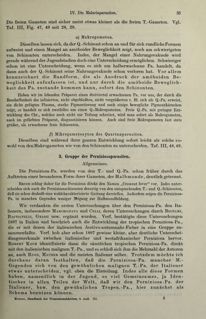 Die freien Gameten sind sicher meist etwas kleiner als die freien T.-Gameten. Vgl. Taf. III, Fig. 47, 49 mit 28, 29. a) Makrogameten. Dieselben lassen sich, da der Q.-Schizont schon an und für sich rundliche Formen aufweist und einen Mangel an amöboider Beweglichkeit zeigt, noch am schwierigsten von Schizonten unterscheiden. Indes, der Mangel einer Nahrungsvakuole wird gerade während der Jugendstadien doch eine Unterscheidung ermöglichen. Schwieriger schon ist eine Unterscheidung, wenn es sich um halberwachsene Pa. handelt, da dann auch der Q.-Schizont seine Nahrungsvakuole schon verloren hat. Vor allem kennzeichnet die Bandform, die als Ausdruck der amöboiden Be¬ weglichkeit aufzufassen ist, und nur durch die amöboide Beweglich¬ keit des Pa. zustande kommen kann, sofort den Schizonten. Haben wir im lebenden Präparat einen dreiviertel erwachsenen Pa. vor uns, der durch die Beschaffenheit des infizierten, nicht abgeblaßten, nicht vergrößerten r. Bl. sich als Q.-Pa. erweist, ein dicht gefügtes Plasma, starke Pigmentierung und noch einige bewegliche Pigmentkörnchen zeigt, so handelt es sich zweifellos um einen Q.-Makrogameten. Freie Q.-Pa. mit geringer Ent¬ wicklung des Chr., welches noch nicht zur Teilung schreitet, wird man sofort als Makrogameten, auch im gefärbten Präparat, diagnostizieren können. Auch sind freie Makrogameten fast stets größer, als erwachsene freie Schizonten. ß) Mikrogametozyten des Quartanparasiten. Dieselben sind während ihrer ganzen Entwicklung sofort leicht als solche so¬ wohl von den Makrogameten wie von den Schizonten zu unterscheiden. Taf. III, 48, 49. 3. Gruppe der Perniziosaparasiten. Allgemeines. Die Perniziosa-Pa. wurden von den T.- und Q.-Pa. schon früher durch das Auftreten einer besonderen Form ihrer Gameten, der Halbmonde, deutlich getrennt. Bruce schlug daher für die Perniziosa direkt den Namen „Crescent fever“ vor. Indes unter¬ scheiden sich auch die Perniziosaschizonten derartig von den entsprechenden T.- und Q.-Schizonten, daß sie schon deshalb eine wohlcharakterisierte Gattung darstellen. Außerdem zeigen die Perniziosa- Pa. in manchen Gegenden weniger Nfeigung zur Halbmondbildung. Wir verdanken die ersten Untersuchungen über den Perniziosa-Pa. den Ita¬ lienern, insbesondere Marchiafava und Celli, deren Untersuchungen durch Bignami, Bastianelli, Grassi usw. ergänzt wurden. Verf. bestätigte diese Untersuchungen 1897 in Italien und beschrieb auch die Entwicklung der tropischen Perniziosa-Pa., die er mit denen der italienischen Aestivo-autumnalis-Fieber in eine Gruppe zu¬ sammenfaßte. Verf. hob aber schon 1897 gewisse kleine, aber deutliche Unterschei¬ dungsmerkmale zwischen italienischer und westafrikanischer Perniziosa hervor. Robert Koch identifizierte dann die sämtlichen tropischen Perniziosa-Pa. direkt mit den italienischen malignen T.-Pa., und es schloß sich ihm die Mehrzahl der Autoren an, auch Rüge, Maurer und die meisten Italiener selber. Trotzdem möchte ich durchaus daran festhalten, daß die Perniziosa-Pa. mancher M.- Gegenden sich von den gewöhnlichen malignen T.-Pa. der Italiener etwas unterscheiden, vgl. oben die Einteilung. Indes alle diese Formen haben, namentlich in der Jugend, so viel Gemeinsames, ja Iden¬ tisches in allen Teilen der Welt, daß wir den Perniziosa-Pa. der Italiener, bzw. den gewöhnlichen Tropen.-Pa., hier zunächst als Schema benutzen können. Mense, Handbuch der Tropenkrankheiten, 3. Aufl. III. 3