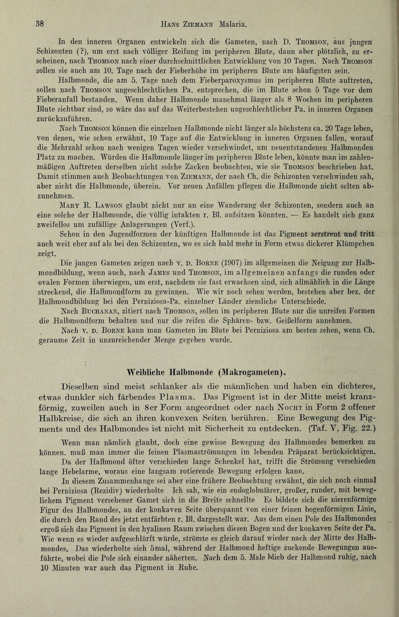 In den inneren Organen entwickeln sich die Gameten, nach D. Thomson, aus jungen Sehizonten (?), um erst nach völliger Reifung im peripheren Blnte, dann aber plötzlich, zu er¬ scheinen, nach Thomson nach einer durchschnittlichen Entwicklung von 10 Tagen. Nach Thomson sollen sie auch am 10. Tage nach der Fieberhöhe im peripheren Blnte am häufigsten sein. Halbmonde, die am 5. Tage nach dem Fieberparoxysmus im peripheren Blute auftreten, sollen nach Thomson ungeschlechtlichen Pa. entsprechen, die im Blute schon 5 Tage vor dem Fieberanfall bestanden. Wenn daher Halbmonde manchmal länger als 8 Wochen im peripheren Blute sichtbar sind, so wäre das auf das Weiterbestehen ungeschlechtlicher Pa. in inneren Organen zurückzuführen. Nach Thomson können die einzelnen Halbmonde nicht länger als höchstens ca. 20 Tage leben, von denen, wie schon erwähnt, 10 Tage auf die Entwicklung in inneren Organen fallen, worauf die Mehrzahl schon nach wenigen Tagen wieder verschwindet, um neuentstandenen Halbmonden Platz zu machen. Würden die Halbmonde länger im peripheren Blute leben, könnte man im zahlen¬ mäßigen Auftreten derselben nicht solche Zacken beobachten, wie sie Thomson beschrieben hat. Damit stimmen auch Beobachtungen von Ziemann, der nach Ch. die Sehizonten verschwinden sah, aber nicht die Halbmonde, überein. Vor neuen Anfällen pflegen die Halbmonde nicht selten ab¬ zunehmen. Mary R. Lawson glaubt nicht nur an eine Wanderung der Sehizonten, sondern auch an eine solche der Halbmonde, die völlig intakten r. Bl. aufsitzen könnten. — Es handelt sich ganz zweifellos um zufällige Anlagerungen (Verf.). Schon in den Jugendformen der künftigen Halbmonde ist das Pigment zerstreut und tritt auch weit eher auf als bei den Sehizonten, wo es sich bald mehr in Form etwas dickerer Klümpchen zeigt. Die jungen Gameten zeigen nach v. D. Borne (1907) im allgemeinen die Neigung zur Halb¬ mondbildung, wenn auch, nach James und Thomson, im allgemeinen anfangs die runden oder ovalen Formen überwiegen, um erst, nachdem sie fast erwachsen sind, sich allmählich in die Länge streckend, die Halbmondform zu gewinnen. Wie wrir noch sehen werden, bestehen aber bez. der Halbmondbildung bei den Perniziosa-Pa. einzelner Länder ziemliche Unterschiede. Nach Buchanan, zitiert nach Thomson, sollen im peripheren Blute nur die unreifen Formen die Halbmondform behalten und nur die reifen die Sphären- bzw. Geißelform annehmen. Nach v. d. Borne kann man Gameten im Blute bei Perniziosa am besten sehen, wenn Ch. geraume Zeit in unzureichender Menge gegeben wurde. Weibliche Halbmonde (Makrogameten). Dieselben sind meist schlanker als die männlichen und haben ein dichteres, etwas dunkler sich färbendes Plasma. Das Pigment ist in der Mitte meist kranz¬ förmig, zuweilen auch in 8er Form angeordnet oder nach Nocht in Form 2 offener Halbkreise, die sich an ihren konvexen Seiten berühren. Eine Bewegung des Pig¬ ments und des Halbmondes ist nicht mit Sicherheit zu entdecken. (Taf. V, Fig. 22.) Wenn man nämlich glaubt, doch eine gewisse Bewegung des Halbmondes bemerken zu können, muß man immer die feinen Plasmaströmungen im lebenden Präparat berücksichtigen. Da der Halbmond öfter verschieden lange Schenkel hat, trifft die Strömung verschieden lange Hebelarme, woraus eine langsam rotierende Bewegung erfolgen kann. In diesem Zusammenhänge sei aber eine frühere Beobachtung erwähnt, die sich noch einmal bei Perniziosa (Rezidiv) wiederholte Ich sah, wie ein endoglobulärer, großer, runder, mit beweg¬ lichem Pigment versehener Gamet sich in die Breite schnellte Es bildete sich die nierenförmige Figur des Halbmondes, an der konkaven Seite überspannt von einer feinen bogenförmigen Linie, die durch den Rand des jetzt entfärbten r. Bl. dargestellt war. Aus dem einen Pole des Halbmondes ergoß sich das Pigment in den hyalinen Raum zwischen diesen Bogen und der konkaven Seite der Pa. Wie wenn es wieder aufgeschlürft würde, strömte es gleich darauf wieder nach der Mitte des Halb¬ mondes. Das wiederholte sich 5mal, während der Halbmond heftige zuckende Bewegungen aus¬ führte, wobei die Pole sich einander näherten. Nach dem 5. Male blieb der Halbmond ruhig, nach 10 Minuten war auch das Pigment in Ruhe.