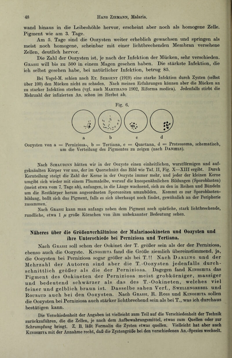 wand hinaus in die Leibeshöhle hervor, erscheint aber noch als homogene Zelle. Pigment wie am 3. Tage. Am 5. Tage sind die Oozysten weiter erheblich gewachsen und springen als meist noch homogene, scheinbar mit einer lichtbrechenden Membran versehene Zellen, deutlich hervor. Die Zahl der Oozysten ist, je nach der Infektion der Mücken, sehr verschieden. Grassi will bis zu 500 in einem Magen gesehen haben. Die stärkste Infektion, die ich seihst gesehen habe, hei natürlicher Infektion, betrug 85. Bei Vogel-M. schien nach Et. Sergent (1919) eine starke Infektion durch Zysten (selbst über 100) den Mücken nicht zu schaden. Nach meinen Erfahrungen können aber die Mücken an zu starker Infektion sterben (vgl. auch Martirano 1902, Riforma medica). Jedenfalls stirbt die Mehrzahl der infizierten An. schon im Herbst ab. Fig. 6. Oozysten von a = Perniziosa-, b = Tertiana, c — Quartana, d — Proteosoma, schematisch, um die Verteilung des Pigmentes zu zeigen (nach Daniels). Nach Schaudinn hätten wir in der Oozyste einen einheitlichen, wurstförmigen und auf- geknäulten Körper vor uns, der im Querschnitt das Bild wie Taf. II, Fig. X—XIII ergibt. Durch Kernteilung steigt die Zahl der Kerne in der Oozyste immer mehr, und jeder der kleinen Kerne umgibt sich wieder mit einem Plasmaleibe, worauf die knospenähnlichen Bildungen (Sporoblasten) (meist etwa vom 7. Tage ab), anfangen, in die Länge wachsend, sich zu den in Reihen und Bündeln um die Restkörper herum angeordneten Sporozoiten umzubilden. Kommt es zur Sporoblasten- bildung, ballt sich das Pigment, falls es sich überhaupt noch findet, gewöhnlich an der Peripherie zusammen. Nach Grassi kann man anfangs neben dem Pigment noch spärliche, stark lichtbrechende, rundliche, etwa 1 ^ große Körnchen von ihm unbekannter Bedeutung sehen. Näheres über die Größenverhältnisse der Malariaookineten und Oozysten und ihre Unterschiede hei Perniziosa und Tertiana. Nach Grassi soll schon der Ookinet der T. größer sein als der der Perniziosa, ebenso auch die Oozyste. Kinoshita fand die Größe ziemlich übereinstimmend, ja, die Oozysten bei Perniziosa sogar größer als bei T.!! Nach Darling und der Mehrzahl der Autoren sind aber die T.-Oozysten jedenfalls durch¬ schnittlich größer als die der Perniziosa. Dagegen fand Kinoshita das Pigment des Ookineten der Perniziosa meist grobkörniger, massiger und bedeutend schwärzer als das des T.-Ookineten, welches viel feiner und gelblich braun ist. Dasselbe sahen Verf., Swellengrebel und Roubaud auch bei den Oozysten. Nach Grassi, R. Ross und Kinoshita sollen die Oozysten bei Perniziosa auch stärker lichtbrechend sein als bei T., was ich durchaus bestätigen kann. Die Verschiedenheit der Angaben ist vielleicht zum Teil auf die Verschiedenheit der Technik zurückzuführen, die die Zellen, je nach dem Aufbewahrungsmittel, etwas zum Quellen oder zur Schrumpfung bringt. Z. B. läßt Formalin die Zysten etwas quellen. Vielleicht hat aber auch Kinoshita mit der Annahme recht, daß die Zystengröße bei den verschiedenen An.-Spezies wechselt.