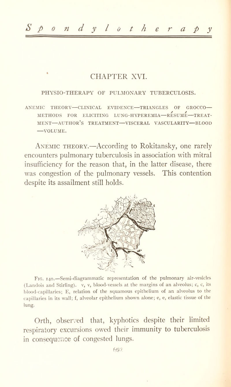 CHAPTER XVI. PHYSIO-THERAPY OF PULMONARY TUBERCULOSIS. ANEMIC THEORY—CLINICAL EVIDENCE—TRIANGLES OF GROCCO— METHODS FOR ELICITING LUNG-HYPEREMIA—RESUME—TREAT¬ MENT—AUTHOR’S TREATMENT—VISCERAL VASCULARITY—BLOOD -VOLUME. Anemic theory.—According to Rokitansky, one rarely encounters pulmonary tuberculosis in association with mitral insufficiency for the reason that, in the latter disease, there was congestion of the pulmonary vessels. This contention despite its assailment still holds. Fig. 140.—Semi-diagrammatic representation of the pulmonary air-vesicles (Landois and Stirling), v, v, blood-vessels at the margins of an alveolus; c, c, its blood-capillaries; E, relation of the squamous epithelium of an alveolus to the capillaries in its wall; f, alveolar epithelium shown alone; e, e, elastic tissue of the lung. Orth, observed that, kyphotics despite their limited respiratory excursions owed their immunity to tuberculosis in consequence of congested lungs.