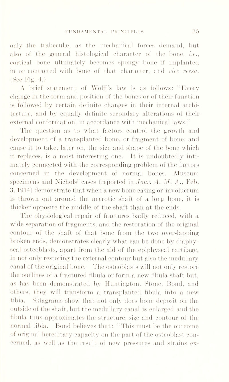 i'i \i).\Mi;\ tai, i’Ki\('i rims only the trabecula\ as the mechanical forces demand, tail, also of the general histological diameter ol llm bone, i.c., cortical hone ultimately heeomes spongy hone if implanted in or contacted with hone of that character, and rice rerun. (See l'ig. 4.) A brief statement of Wolffs law is as follows: “ Hvery change in the form and posit ion of the hones or of their function is followed by certain definite changes in their internal archi¬ tecture, and by equally definite secondary alterations of their external conformation, in accordance with mechanical laws. The question as to what factors control the growth and development of a transplanted hone, or fragment of hone, and cause it to take, later on, the size and shape of the hone which it replaces, is a most interesting one. It is undoubtedly inti¬ mately connected with the corresponding problem of the factors concerned in the development of normal bones. Museum specimens and Nichols' cases (reported in Jour. A. M. A., Feb. 3, 1914) demonstrate that when a new bone casing or involucrum is thrown out around the necrotic shaft of a long bone, it is thicker opposite the middle of the shaft than at the ends. The physiological repair of fractures badly reduced, with a wide separation of fragments, and the restoration of the original contour of the shaft of that hone from the two over-lapping broken ends, demonstrates clearly what can he done by diaphy¬ seal osteoblasts, apart from the aid of the epiphyseal cartilage, in not only restoring the external contour but also the medullary canal of the original hone. The osteoblasts will not only restore the outlines of a fractured fibula or form a new fibula shaft but, as has been demonstrated by Huntington, Stone, Bond, and others, they will transform a transplanted fibula into a new tibia. Skiagrams show that not only does hone deposit on the outside of the shaft, hut the medullary canal is enlarged and the fibula thus approximates the structure, size and contour of the normal tibia. Bond believes that: “This must he tho outcome ol original hereditary capacity on the part of the osteoblast con¬ cerned, as well as the result of new pressure's and strains ex-