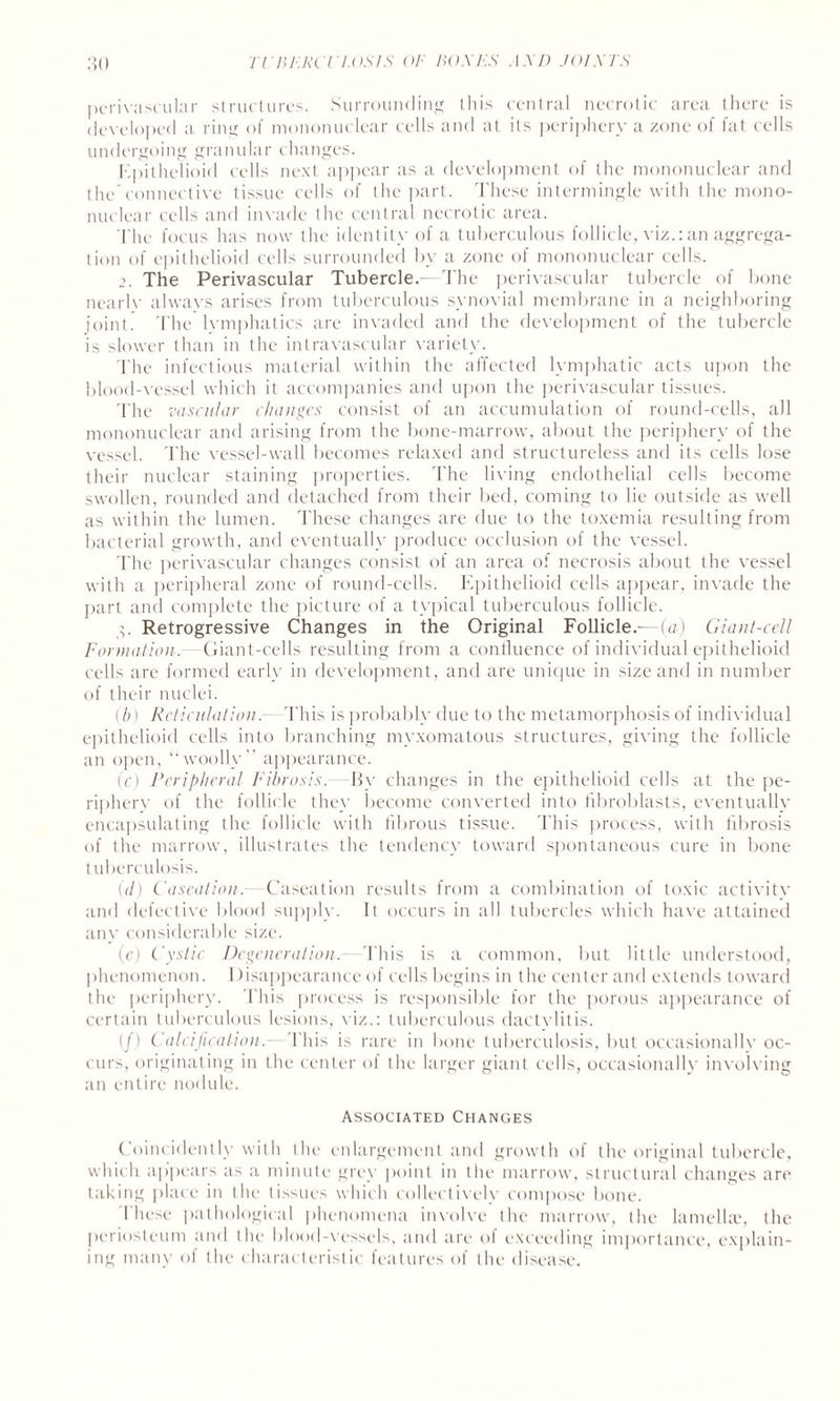 perivascular structures. Surrounding this central necrotic area there is developed a ring of mononuclear cells and at its periphery a zone of fat cells undergoing granular changes. Kpithelioid cells next appear as a development of the mononuclear and the connective tissue cells of the part. These intermingle with the mono¬ nuclear cells and invade the central necrotic area. The focus has now the identity of a tuberculous follicle, viz.: an aggrega¬ tion of epithelioid cells surrounded by a zone of mononuclear cells. 2. The Perivascular Tubercle. -The perivascular tubercle of bone nearly alwavs arises from tuberculous synovial membrane in a neighboring joint. The lvmphatics are invaded and the development of the tubercle is slower than in the intravascular variety. The infectious material within the affected lymphatic acts upon the blood-vessel which it accompanies and upon the perivascular tissues. The vascular changes consist of an accumulation of round-cells, all mononuclear and arising from the bone-marrow, about the periphery of the vessel. The vessel-wall becomes relaxed and structureless and its cells lose their nuclear staining properties. The living endothelial cells become swollen, rounded and detached from their bed, coming to lie outside as well as within the lumen. These changes are due to the toxemia resulting from bacterial growth, and eventually produce occlusion of the vessel. The perivascular changes consist of an area of necrosis about the vessel with a peripheral zone of round-cells. Epithelioid cells appear, invade the part and complete the picture of a typical tuberculous follicle. p Retrogressive Changes in the Original Follicle.—(a) Giant-cell Formation. Giant-cells resulting from a confluence of individual epithelioid cells are formed early in development, and are unique in size and in number of their nuclei. (b) Reticulation.- This is probably due to the metamorphosis of individual epithelioid cells into branching myxomatous structures, giving the follicle an open, “woolly” appearance. (c) Peripheral Fibrosis. By changes in the epithelioid cells at the pe¬ riphery of the follicle they become converted into fibroblasts, eventually encapsulating the follicle with fibrous tissue. This process, with fibrosis of the marrow, illustrates the tendency toward spontaneous cure in bone tuberculosis. (id) Caseation. -Caseation results from a combination of toxic activitv and defective blood supply. It occurs in all tubercles which have attained any considerable size. (e) Cystic Degeneration. This is a common, but little understood, phenomenon. Disappearance of cells begins in the center and extends toward the periphery. This process is responsible for the porous appearance of certain tuberculous lesions, viz.: tuberculous dactylitis. (/) Calcification. This is rare in bone tuberculosis, but occasionallv oc¬ curs, originating in the center of the larger giant cells, occasionally involving an entire nodule. Associated Changes Coim identic with the enlargement and growth of the original tubercle, which appears as a minute grey point in the marrow, structural changes are taking place in the tissues which collectively compose bone. These pathological phenomena involve the marrow, the lamella', the periosteum and the blood-vessels, and are of exceeding importance, explain¬ ing many of the characteristic features of the disease.