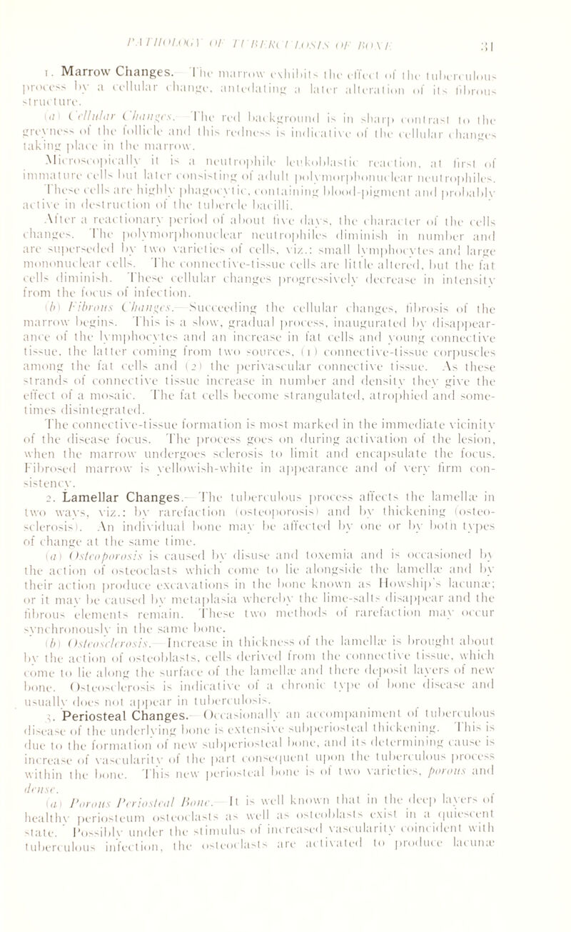 I'M'iioi.oci) or 777i/;/\’c7 t.ost.s or roxi 1. Marrow Changes. I lie marrow exhibits tlie din I of the tuberculous process by a cellular change, antedating a later alteration of its fibrous structure. • a t el/ubir ( ha ages. I lie red background is in sharp contrast to the greyness o! the lollicle and this redness is indicative of the cellular changes taking place in the marrow. Microscopically it is a neutrophile leukoblaslic reaction, at first of immature cells but later consisting ol adult polymorphonuclear neulrophiles. I hese cells are highly phagocytic, containing blood-pigment and probably active in destruction of the tubercle bacilli. Mter a reactionary period of about five days, the character of the cells changes. I he polymorphonuclear neulrophiles diminish in number and arc superseded by two varieties ol cells, viz.: small lymphocytes and large mononuclear cells. The connective-tissue cells are little altered, but the fat- cells diminish. I hese cellular changes progressively decrease in intensity from the focus of infection. b) I'ibrous Changes. Succeeding the cellular changes, fibrosis of the marrow begins. This is a slow, gradual process, inaugurated bv disappear¬ ance of the lymphocytes and an increase in fat cells and voung connective tissue, the latter coming from two sources, (i) connective-tissue corpuscles among the fat cells and (2) the perivascular connective tissue. As these strands of connective tissue increase in number and density thev give the effect of a mosaic. The fat cells become strangulated, atrophied and some¬ times disintegrated. The connective-tissue formation is most marked in the immediate vicinity of the disease focus. The process goes on during activation of the lesion, when the marrow undergoes sclerosis to limit and encapsulate the focus. Fibrosed marrow is yellowish-white in appearance and of very firm con¬ sistency. 2. Lamellar Changes. The tuberculous process affects the lamella? in two ways, viz.: bv rarefaction (osteoporosis) and by thickening (osteo¬ sclerosis). An individual bone may be affected by one or by both types of change at the same time. (a) Osteoporosis is caused by disuse and toxemia and is occasioned In the action of osteoclasts which come to lie alongside the lamella' and by their action produce excavations in the bone known as How-ship's lacuna-; or it mav be caused bv metaplasia whereby the lime-salts disappear and the fibrous elements remain. I hese two methods of rarefaction may occur synchronously in the same bone. (b) Osteosclerosis. Increase in thickness of the lamella- is brought about by the action of osteoblasts, cells derived from the connective tissue, which come to lie along the surface of the lamella- and there deposit layers of new bone. Osteosclerosis is indicative of a chronic type of bone disease and usually does not appear in tuberculosis. Periosteal Changes. Occasional!) an accompaniment ol tuberculous disease of the underlying bone is extensive subperiosteal thickening. 1 his is due to the formation of new subperiosteal bone, and its determining cause is increase of vascularity of the part consequent upon the tuberculous process within the bone. This new periosteal bone is of two varieties, porous and dense. (a Porous Periosteal Pone. It is well known that in the deep layers ol healthy periosteum osteoclasts as well as osteoblasts exist in a. quiescent state. Possibly under the stimulus ol increased vascularity coincident with tuberculous infection, the osteoclasts are activated to produce lacuna-