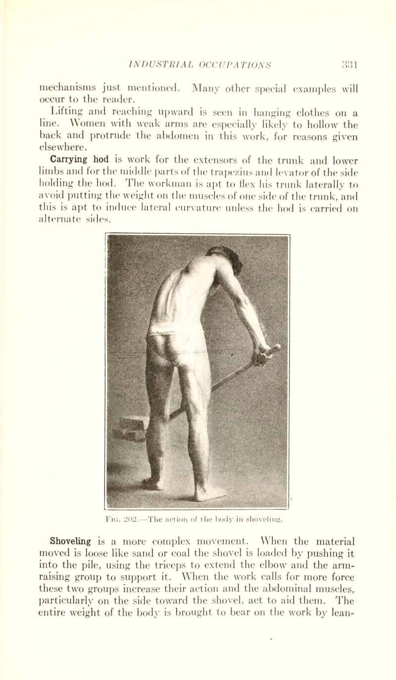 mechanisms just mentioned. Many other special examples will occur to the reader. Lifting and reaching upward is seen in hanging clothes on a line. Women with weak arms are especially likely to hollow the back and protrude the abdomen in this work, for reasons given elsewhere. Carrying hod is work for the extensors of the trunk and lower limbs and for the middle parts of the trapezius and levator of the side holding the hod. The workman is apt to flex his trunk laterally to avoid putting the weight on the muscles of one side of the trunk, and this is apt to induce lateral curvature unless the hod is carried on alternate sides. Fig. 202.—The action of the body in shoveling. Shoveling is a more complex movement. When the material moved is loose like sand or coal the shovel is loaded by pushing it into the pile, using the triceps to extend the elbow and the arm¬ raising group to support it. When the work calls for more force these two groups increase their action and the abdominal muscles, particularly on the side toward the shovel, act to aid them. The entire weight of the body is brought to bear on the work by lean-